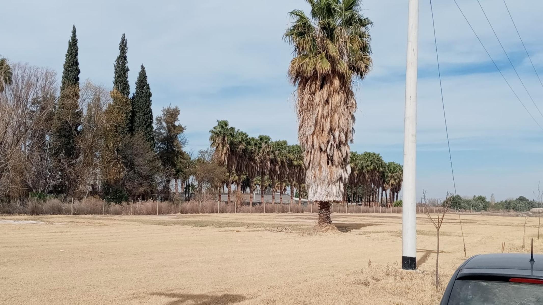 C.ALFONZO XII Y TIRASSO GUAYMALLÉN MENDOZA · Guaymallén — foto 27