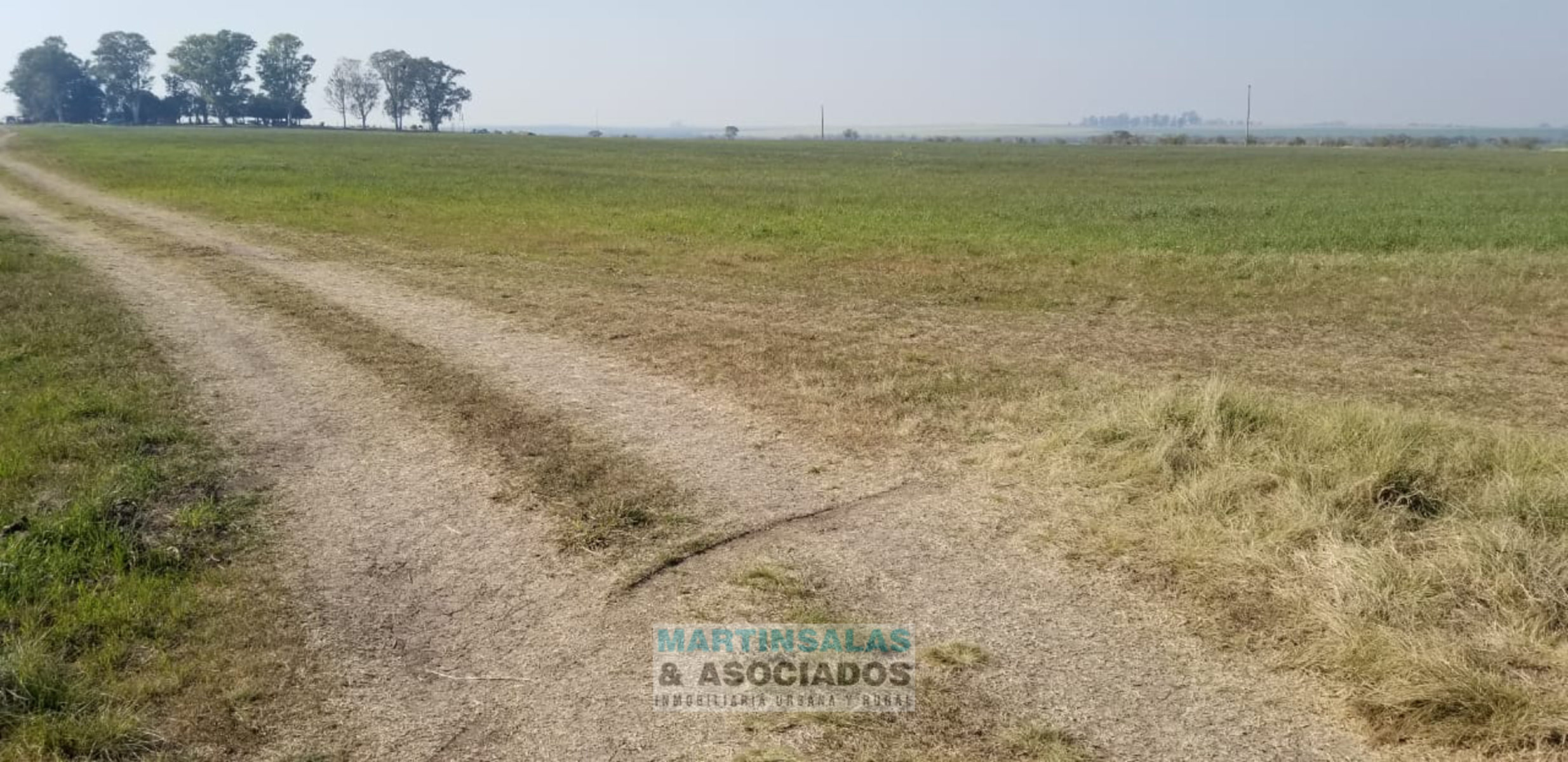 Febre · Nogoyá — foto 3