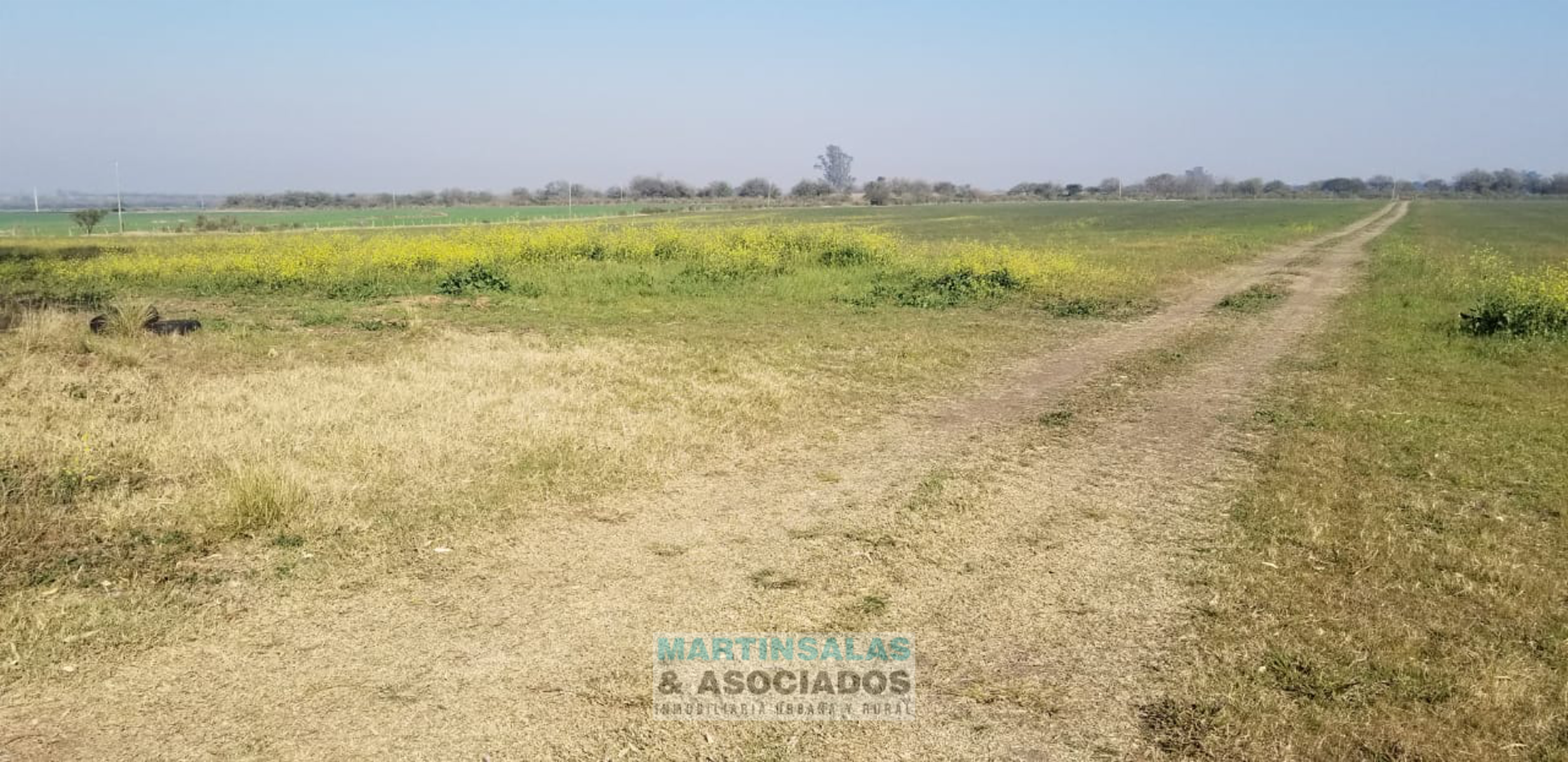 Febre · Nogoyá — foto 4