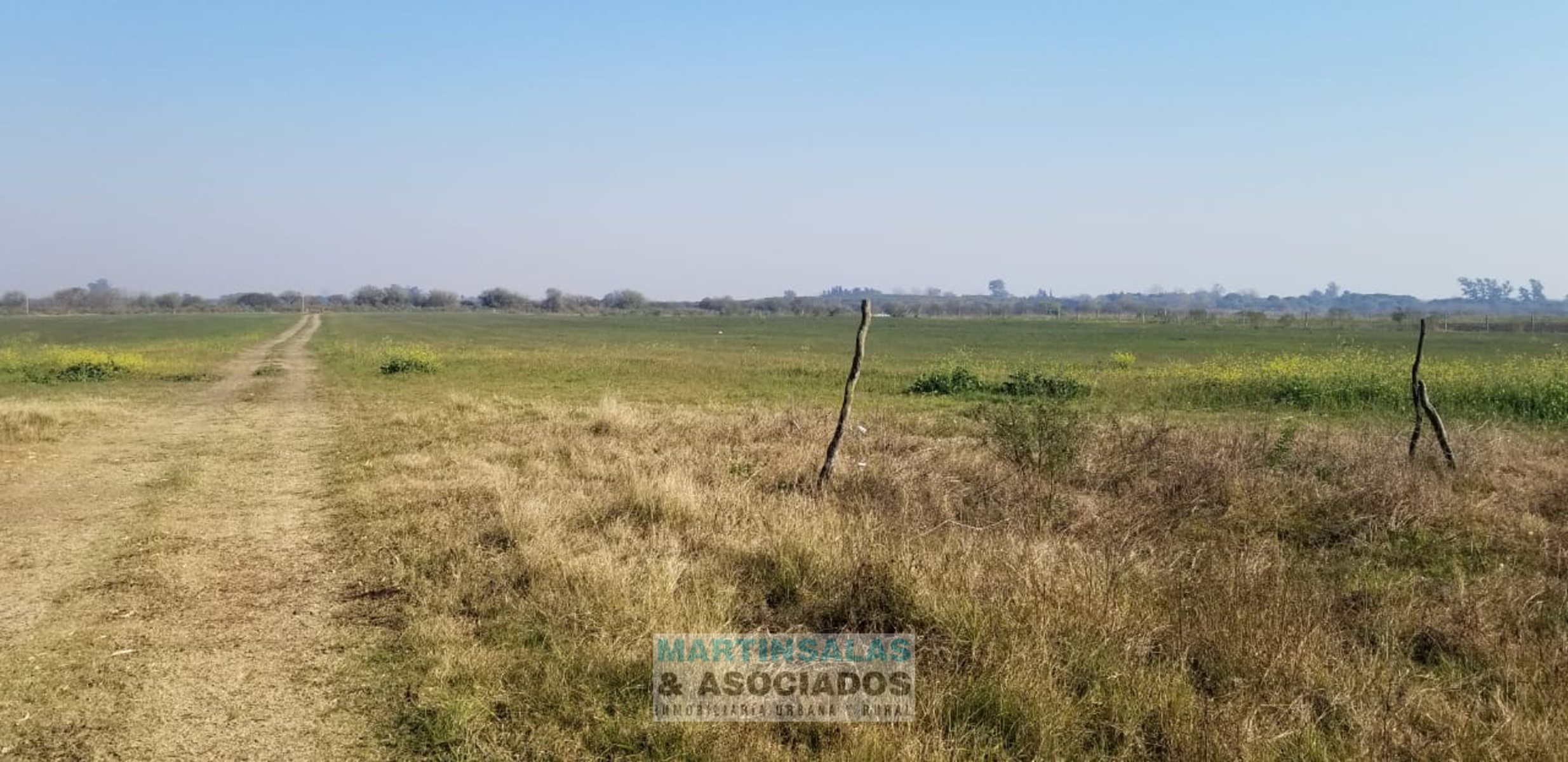 Febre · Nogoyá — foto 5