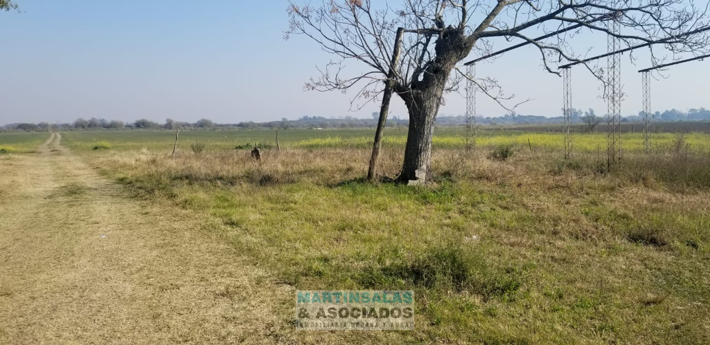Febre · Nogoyá — foto 6