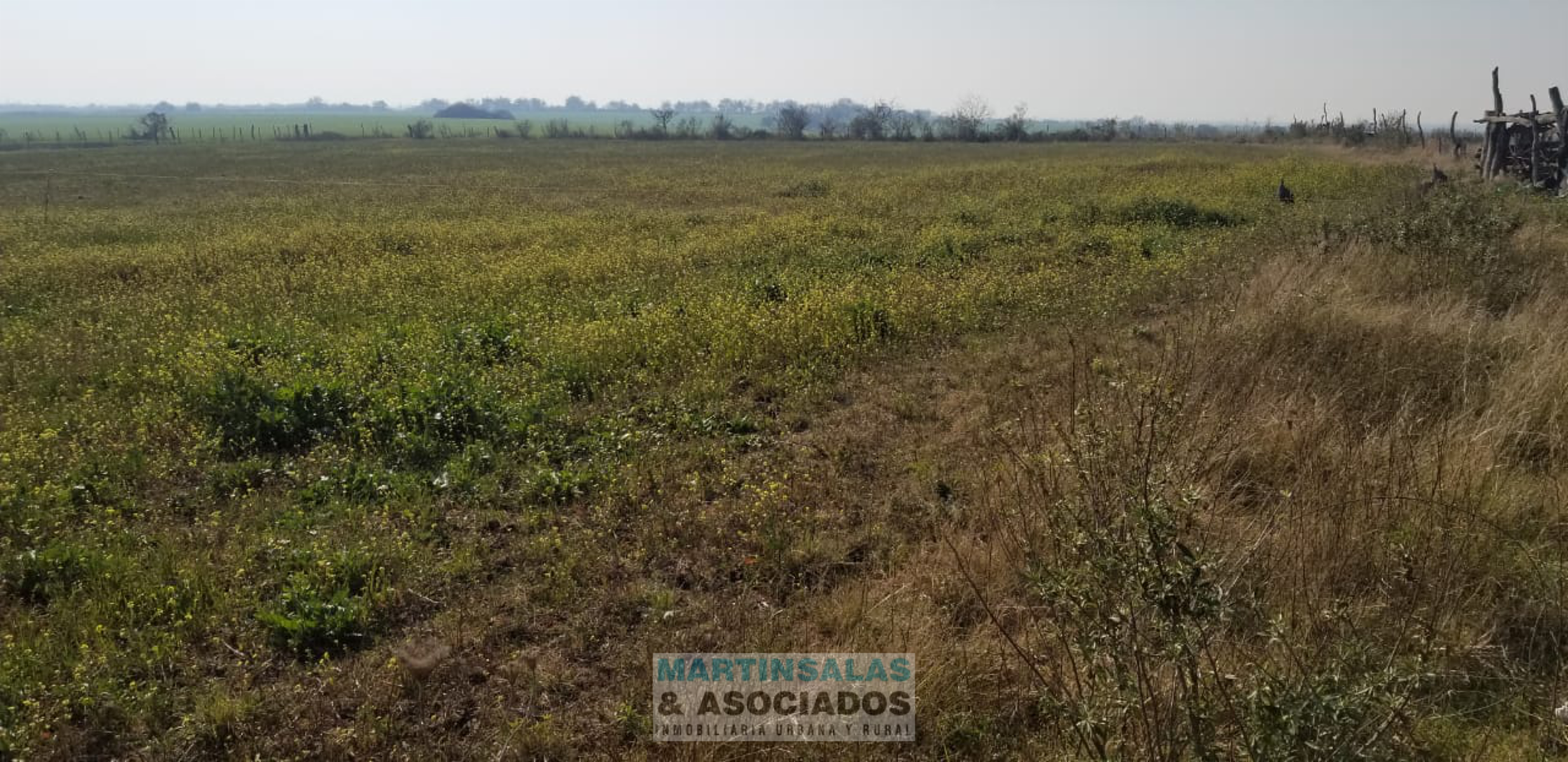 Febre · Nogoyá — foto 7
