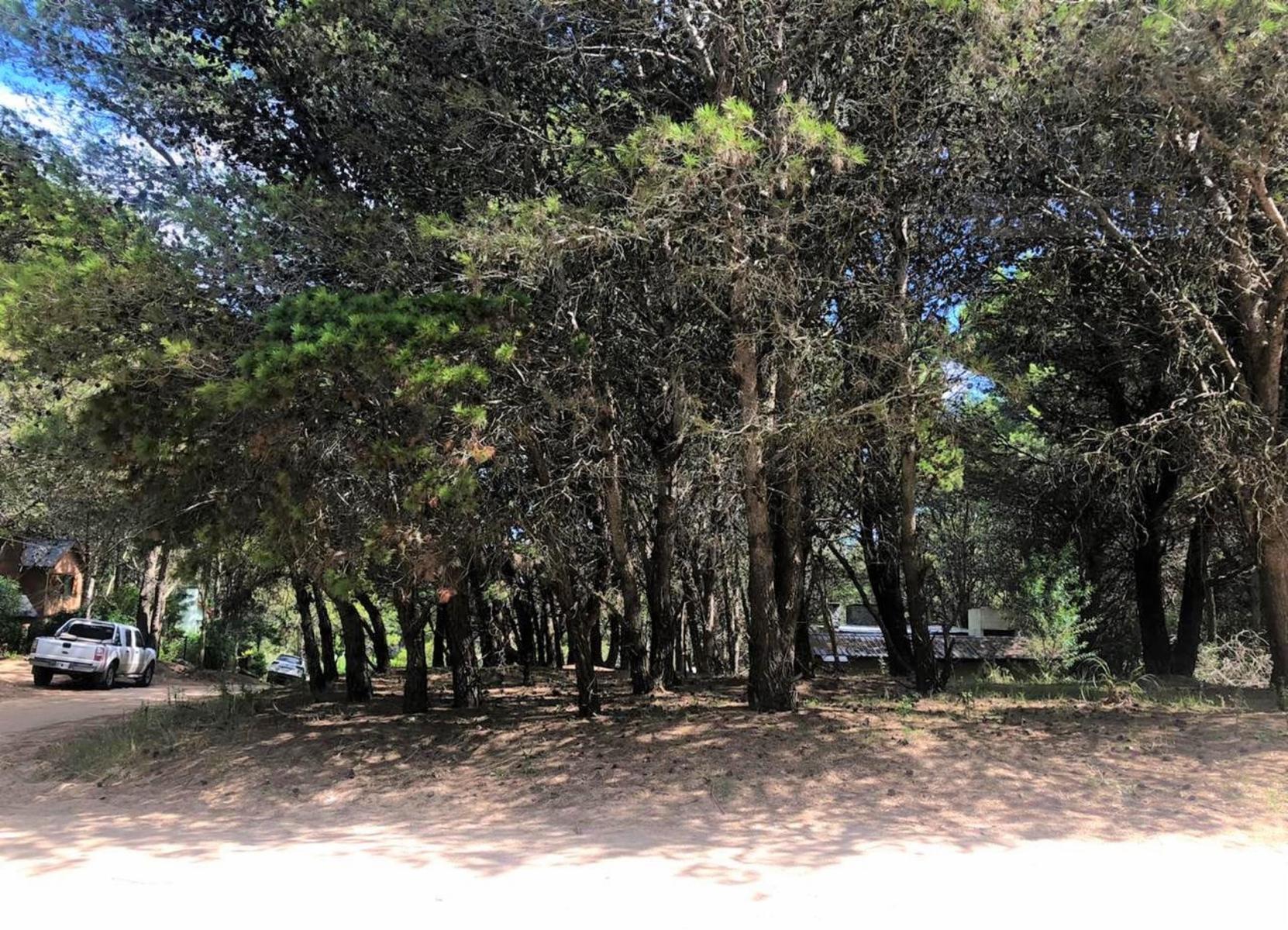 Calle 43 esquina Pinamar - Mar Azul · Villa Gesell — foto 3