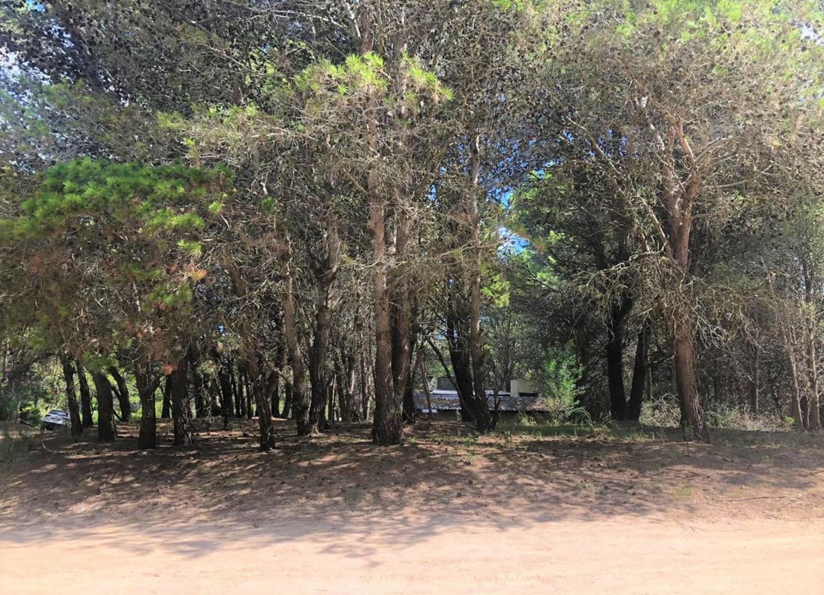 Calle 43 esquina Pinamar - Mar Azul · Villa Gesell — foto 4