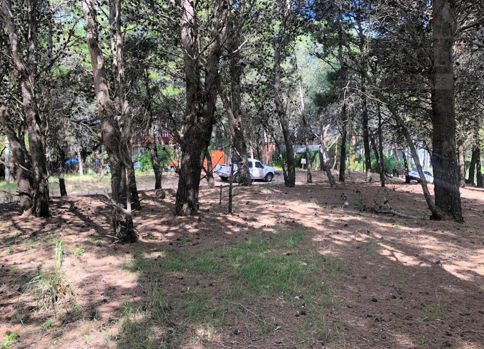 Calle 43 esquina Pinamar - Mar Azul · Villa Gesell — foto 6