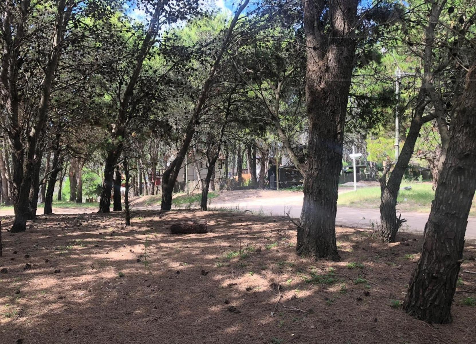 Calle 43 esquina Pinamar - Mar Azul · Villa Gesell — foto 8