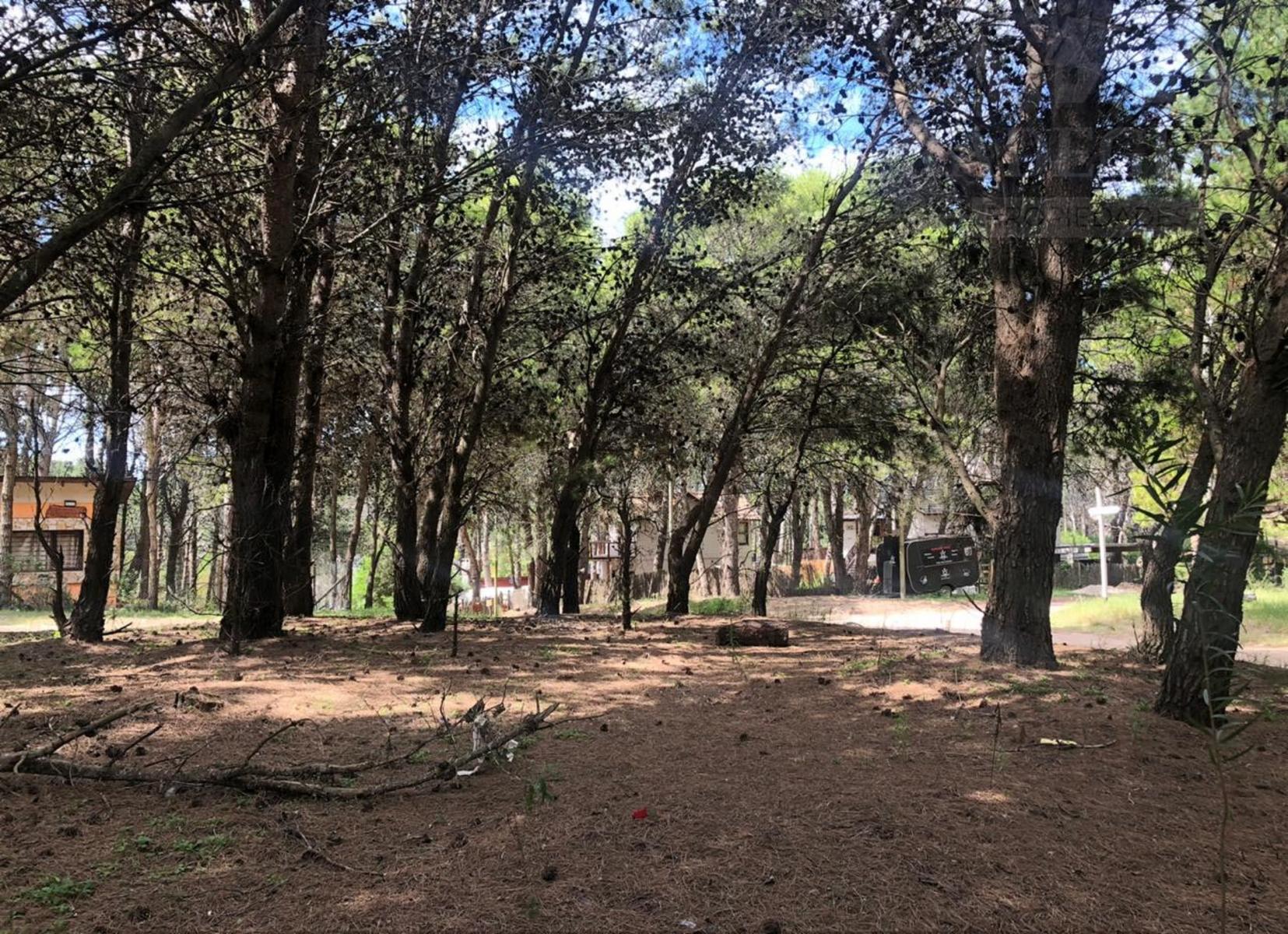 Calle 43 esquina Pinamar - Mar Azul · Villa Gesell — foto 9
