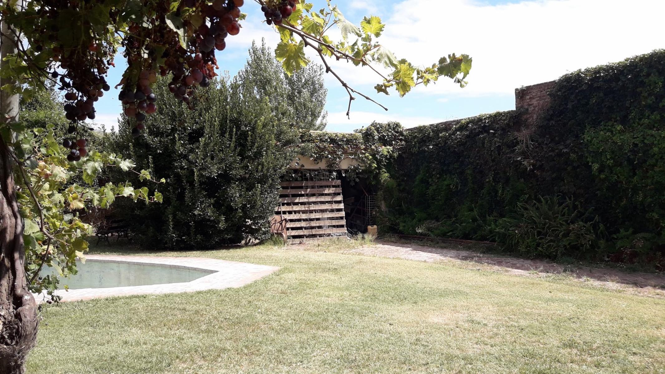 Maipu · Carlos Casares — foto 17