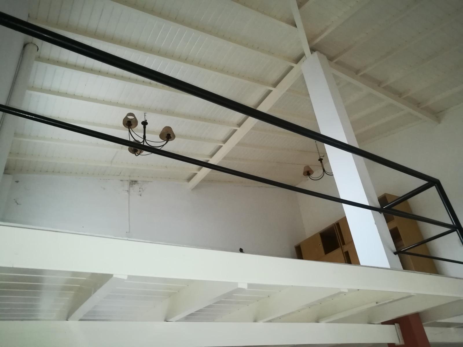 TEDIN 159 · Tigre — foto 15