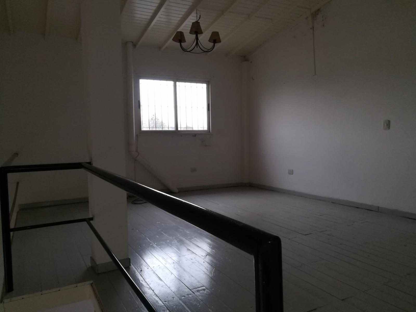 TEDIN 159 · Tigre — foto 17