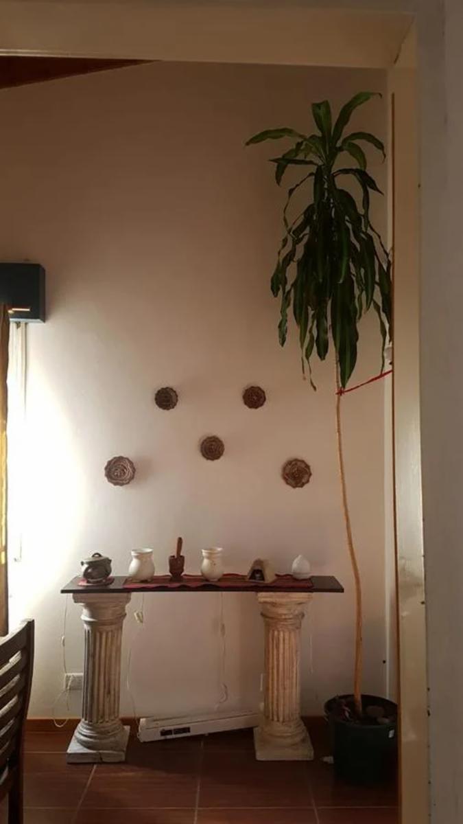 Lacroze 1063 · Tigre — foto 31