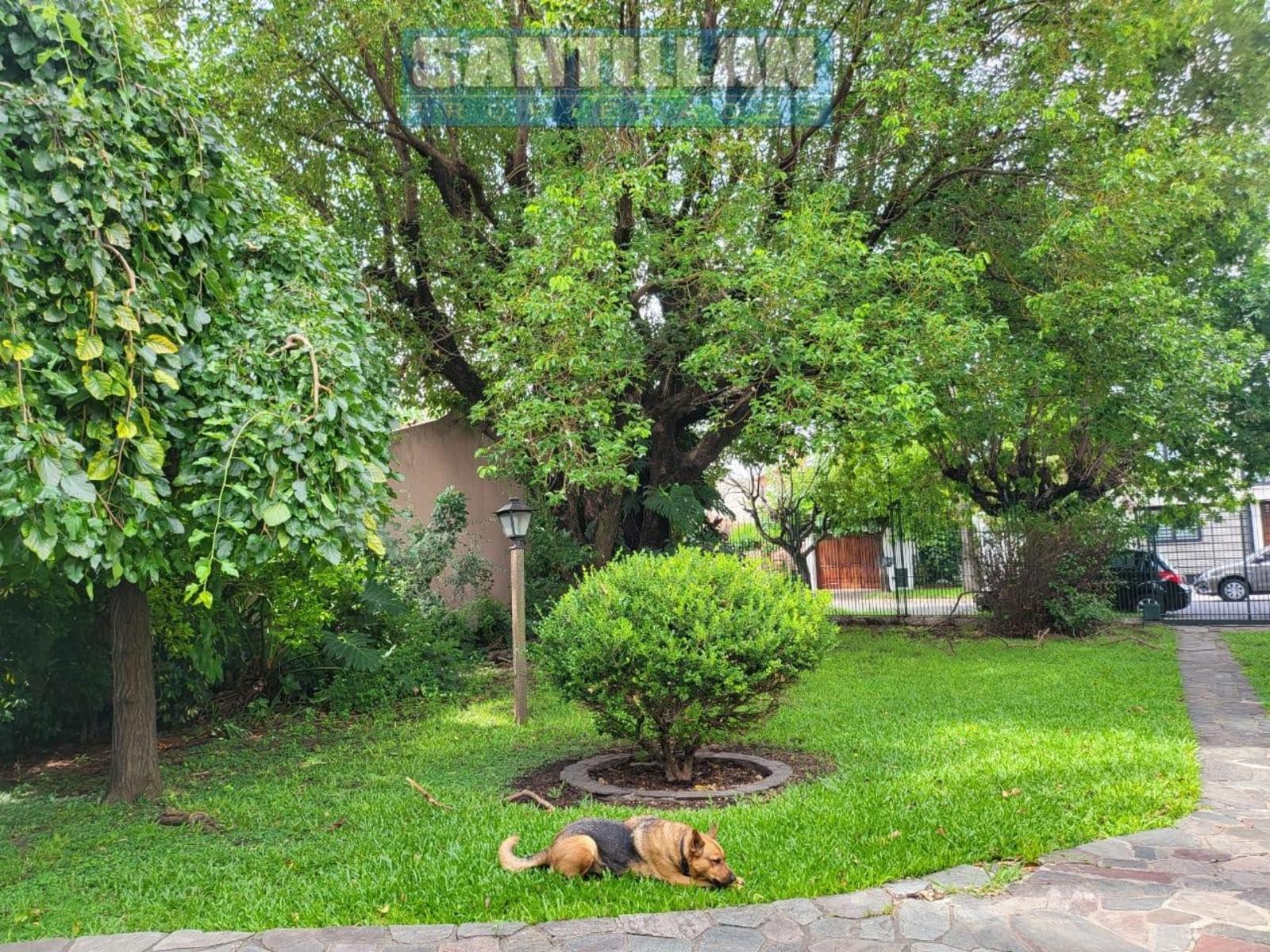 Rondeau 1735 · La Matanza — foto 25