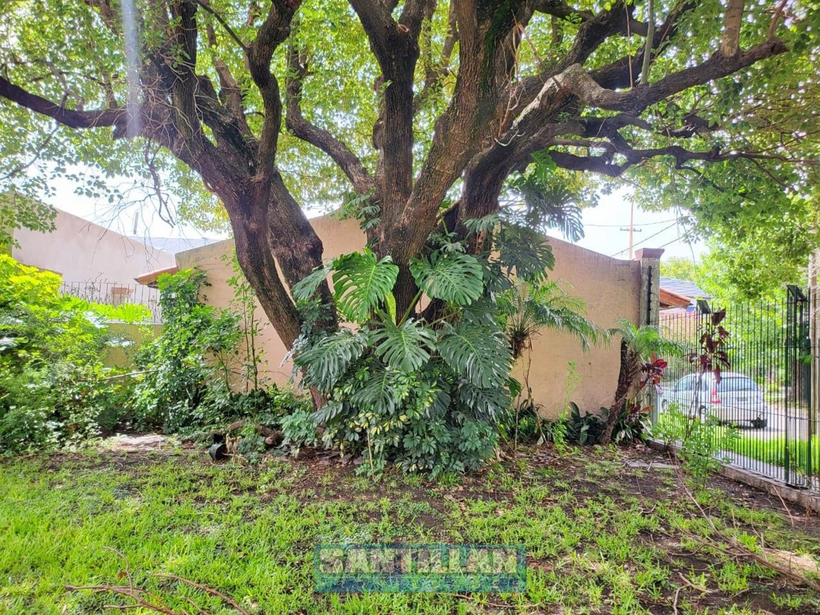 Rondeau 1735 · La Matanza — foto 30