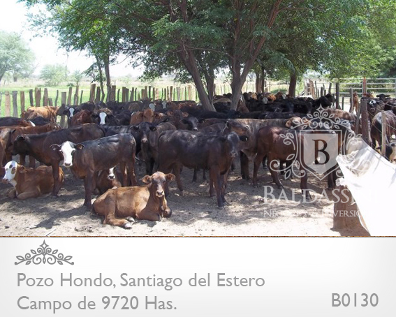 SE VENDE CAMPO MIXTO DE 9720 HECTÁREAS A TRANQUERA CERRADA EN POZO HONDO, SANTIAGO DEL ESTERO.  ESCRITURAS PERFECTAS / 2058 U$S LA HA. CON VARIEDAD DE ACTIVOS DENTRO DEL CAMPO - MAQUINARIA - GANADO