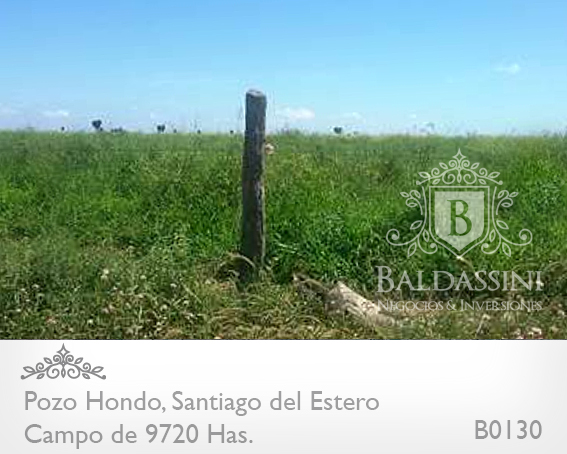 CAMPO MIXTO DE 9720 HA. - TRANQUERA CERRADA -  POZO HONDO, SANTIAGO DEL ESTERO, REPUBLICA ARGENTINA · Jimenez — foto 3