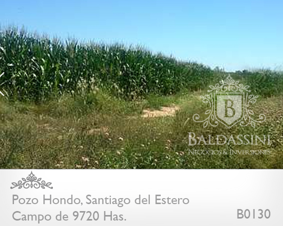 CAMPO MIXTO DE 9720 HA. - TRANQUERA CERRADA -  POZO HONDO, SANTIAGO DEL ESTERO, REPUBLICA ARGENTINA · Jimenez — foto 4