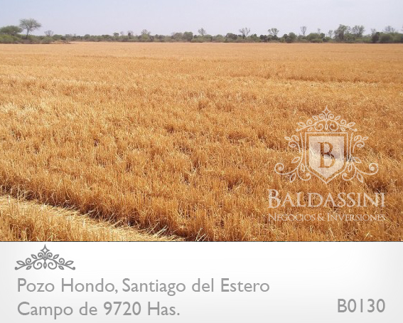 CAMPO MIXTO DE 9720 HA. - TRANQUERA CERRADA -  POZO HONDO, SANTIAGO DEL ESTERO, REPUBLICA ARGENTINA · Jimenez — foto 5