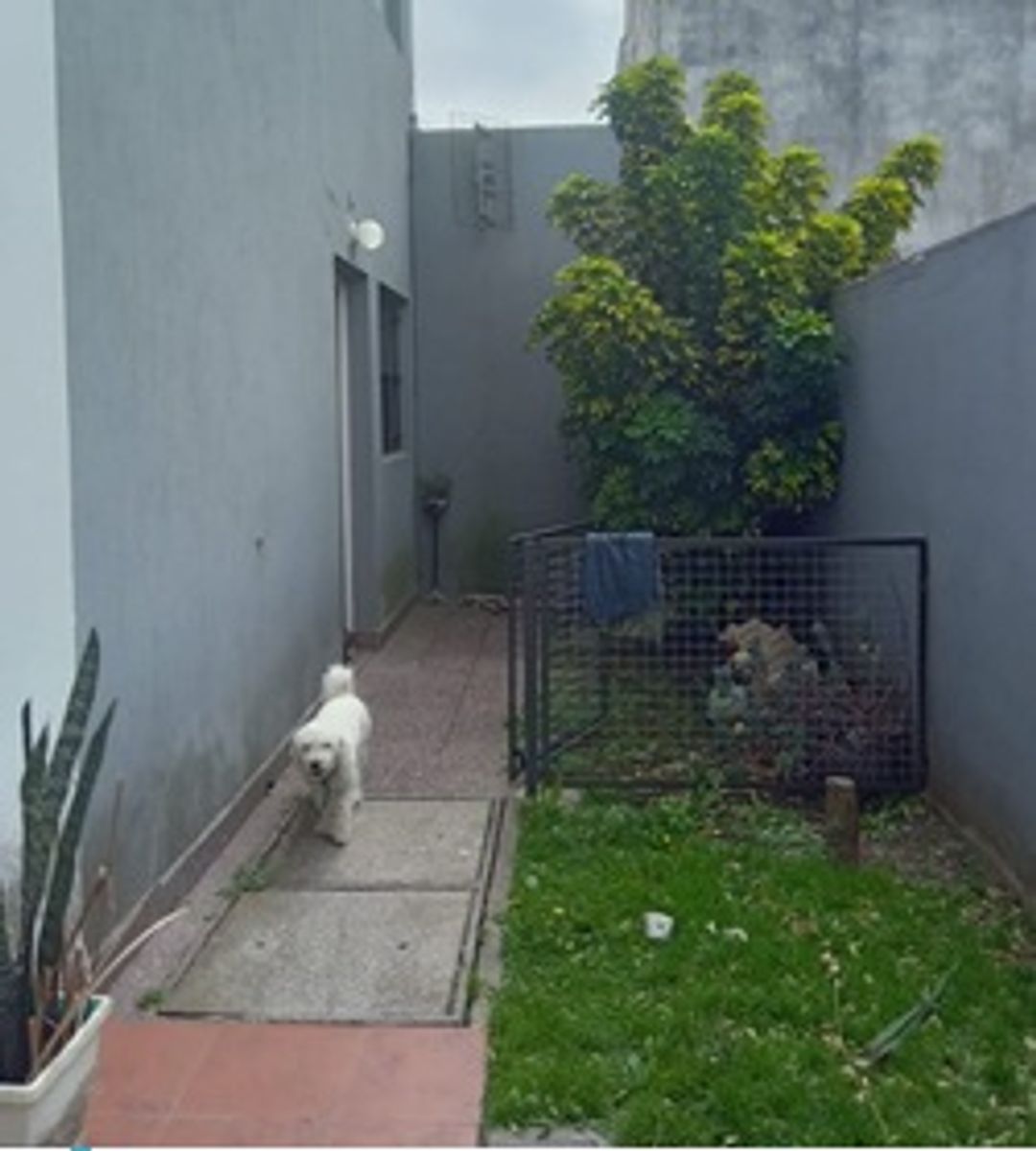 28 N 3046 · Necochea — foto 3