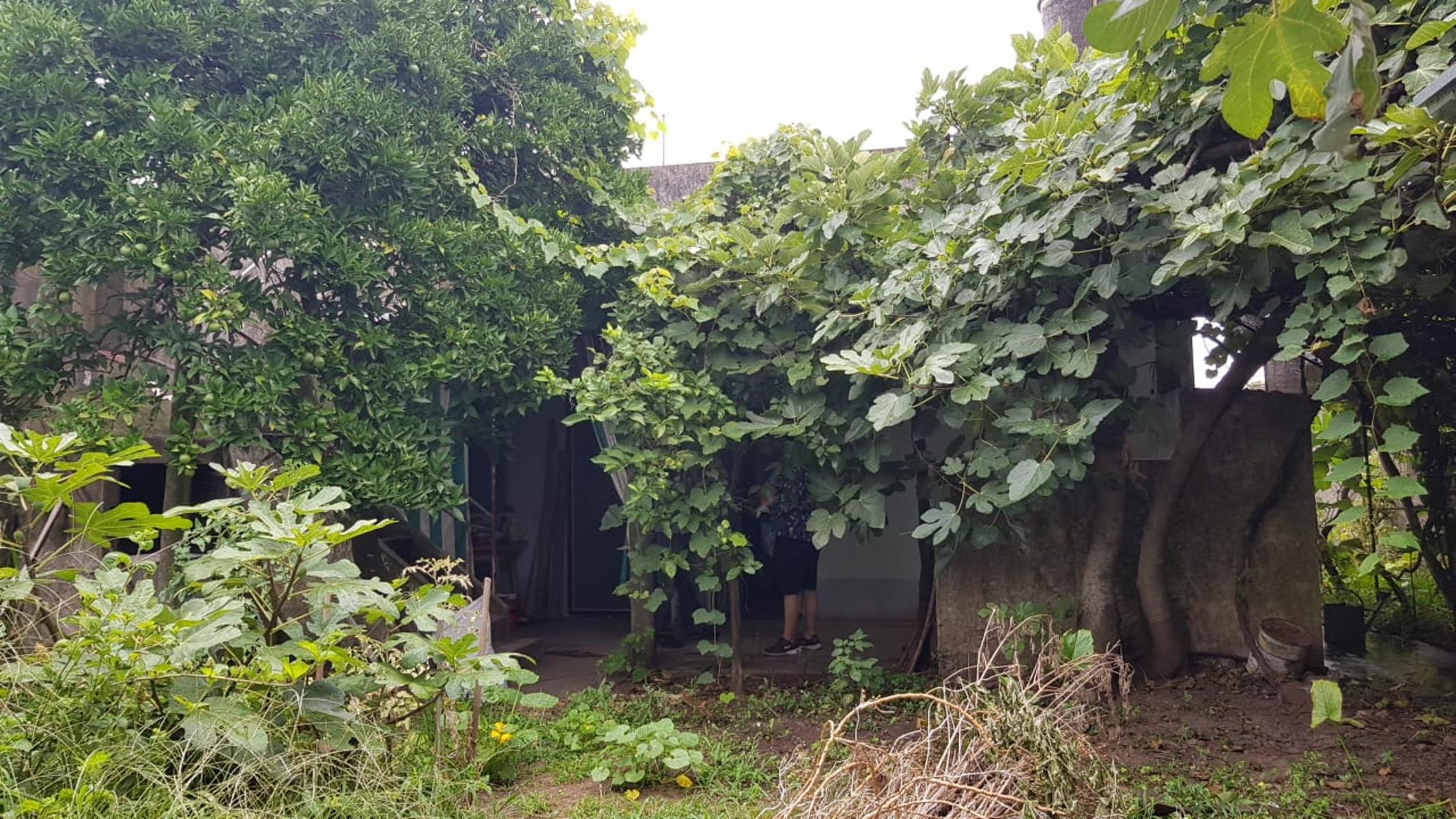 ZEBALLOS 1400 · San Martín — foto 6