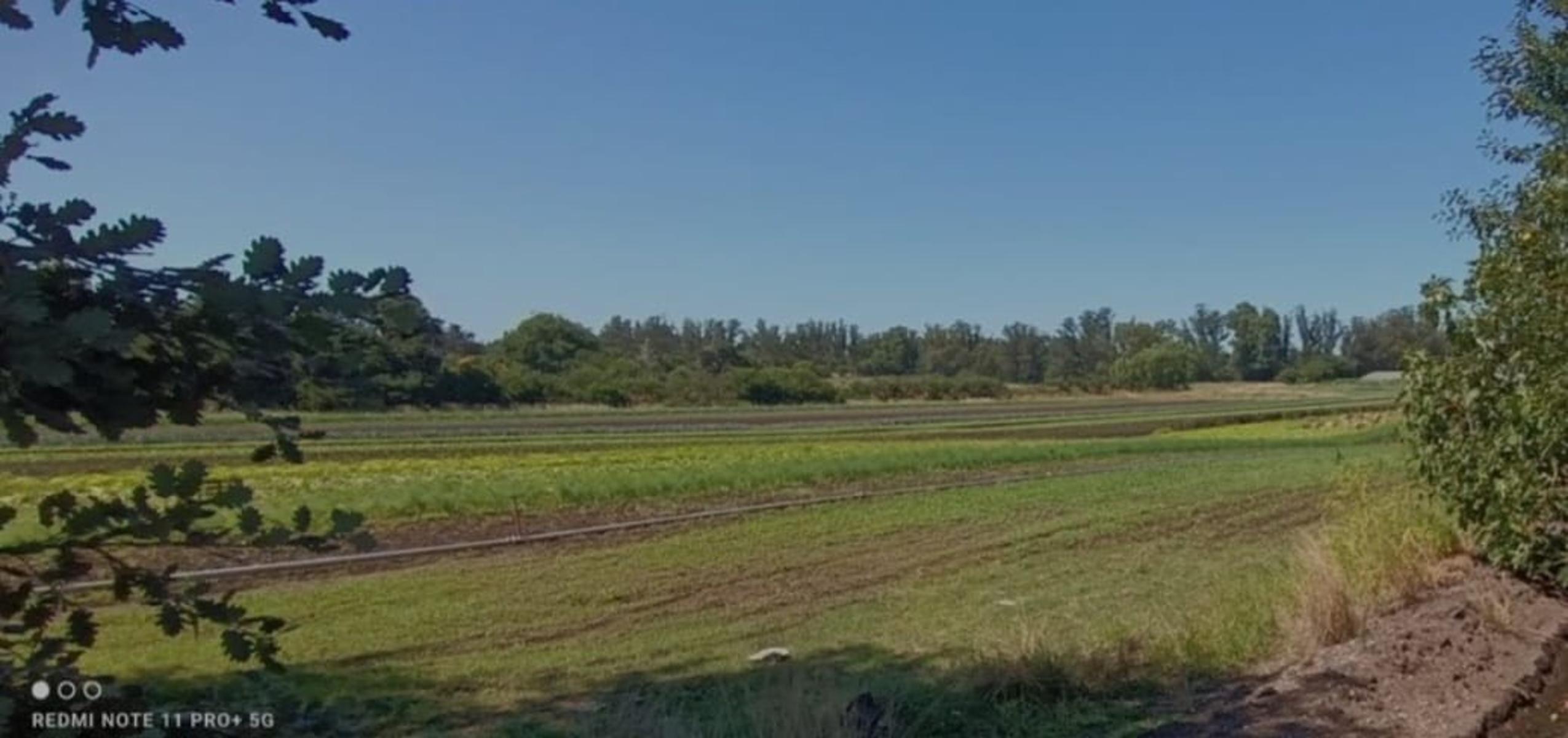 VENDO CASA QUINTA (ZONA LAGUNA DE LOS PADRES) MDP · General Pueyrredon — foto 10