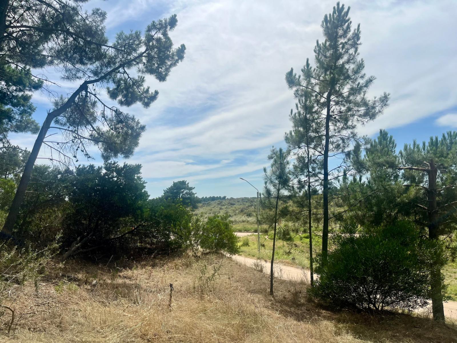 Maipu entre El Tero y La Torcaza · Monte Hermoso — foto 3