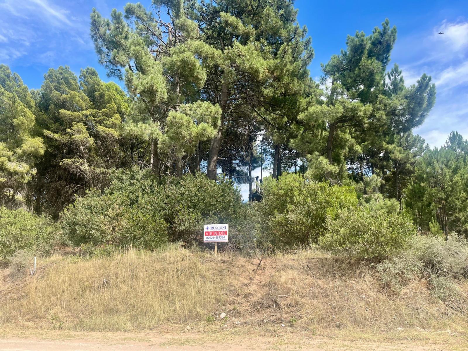Maipu entre El Tero y La Torcaza · Monte Hermoso — foto 7