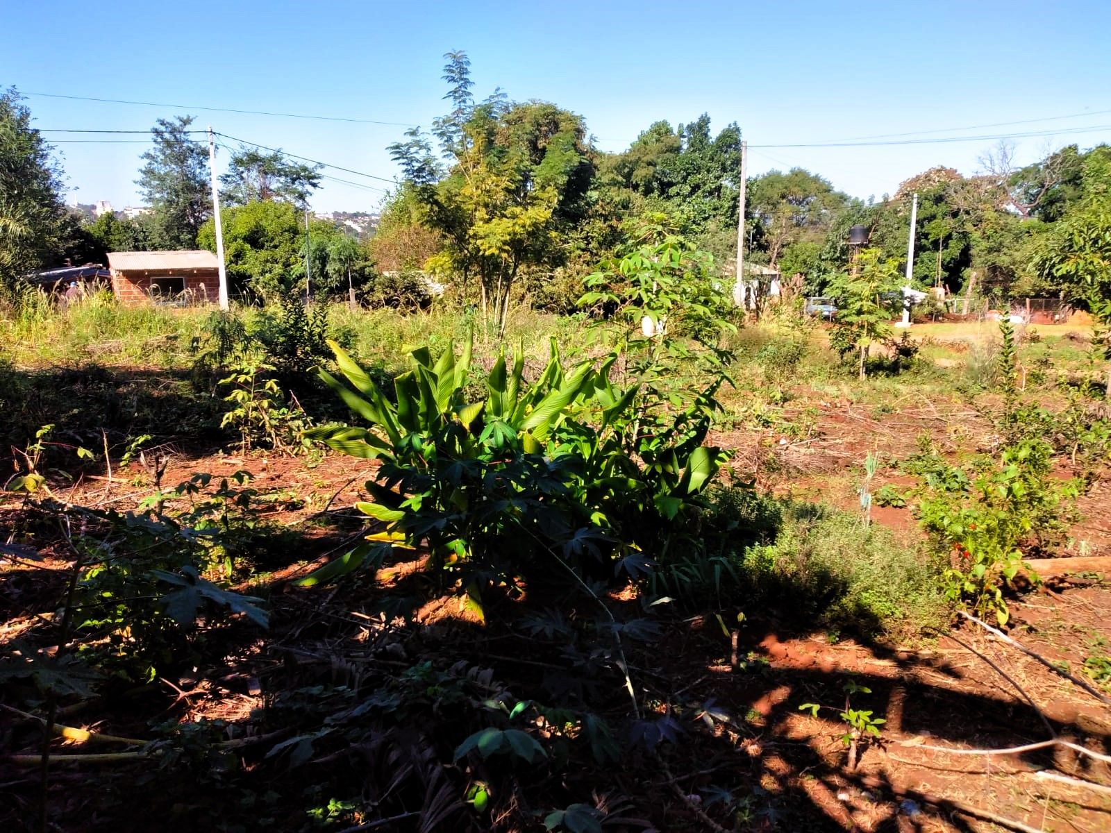 Código 511 · Oberá — foto 3