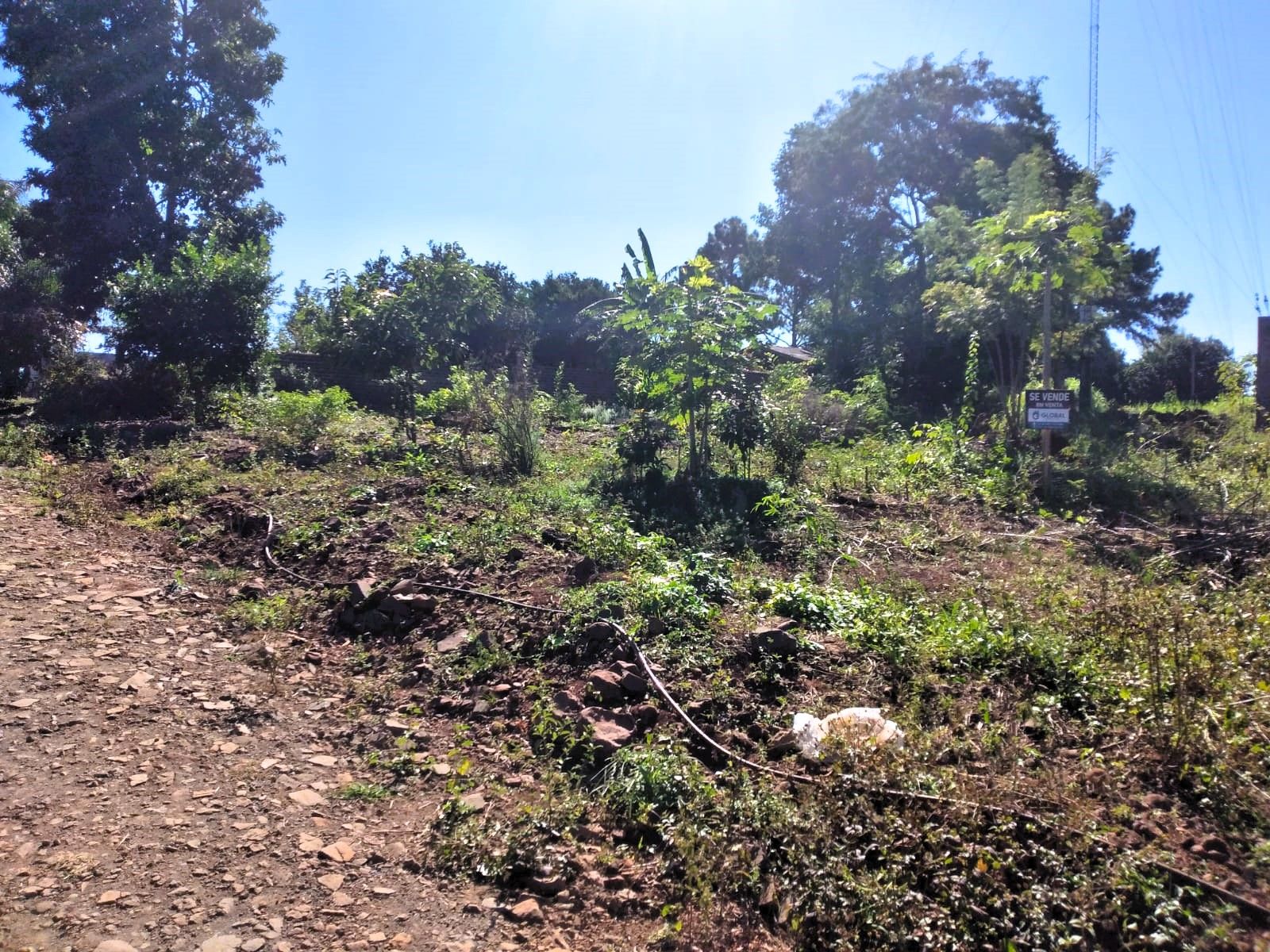 Código 511 · Oberá — foto 4