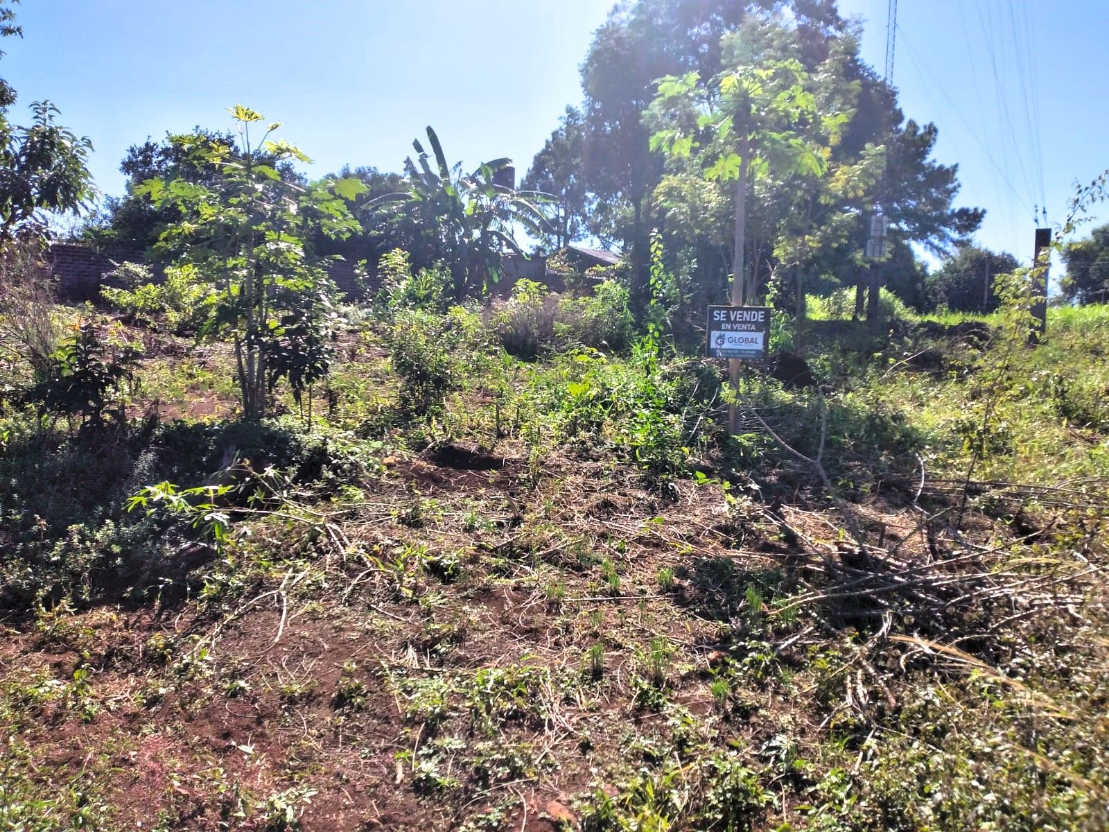 Código 511 · Oberá — foto 5