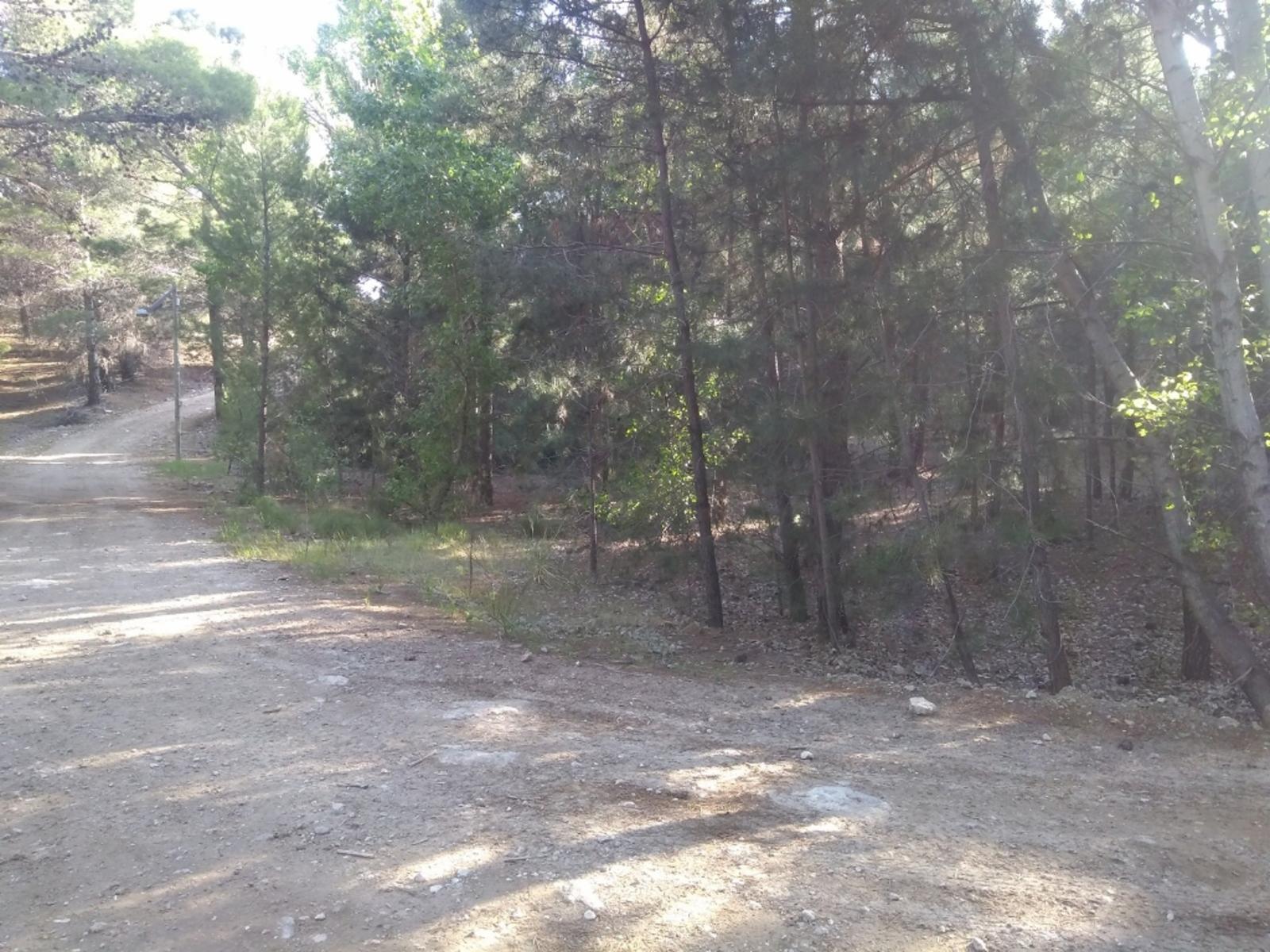 PINAR DEL GOLF · Monte Hermoso — foto 4