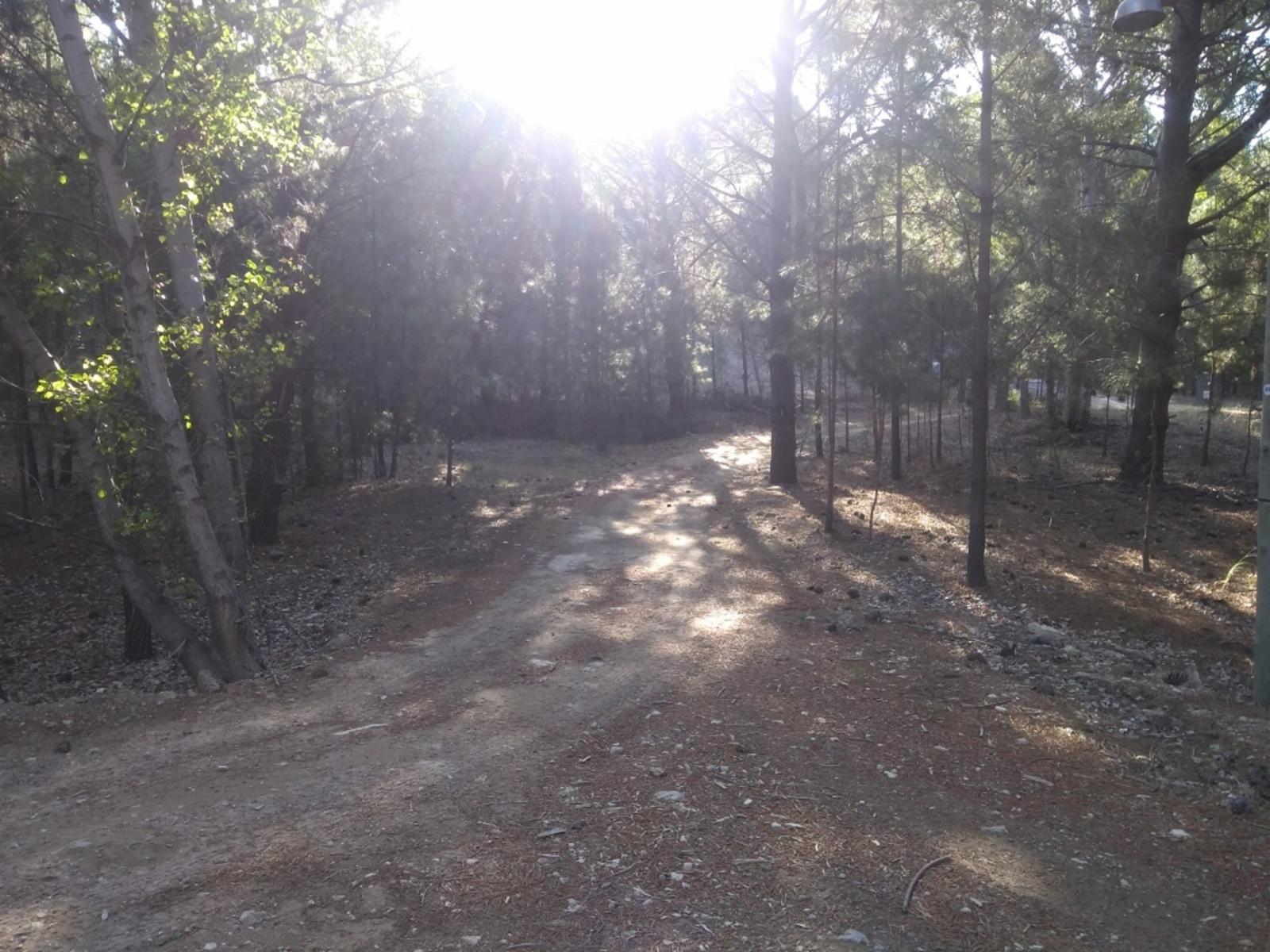 PINAR DEL GOLF · Monte Hermoso — foto 5