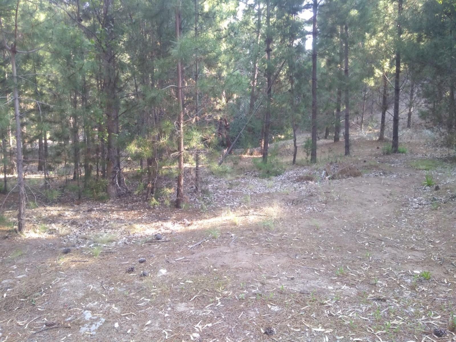 PINAR DEL GOLF · Monte Hermoso — foto 6