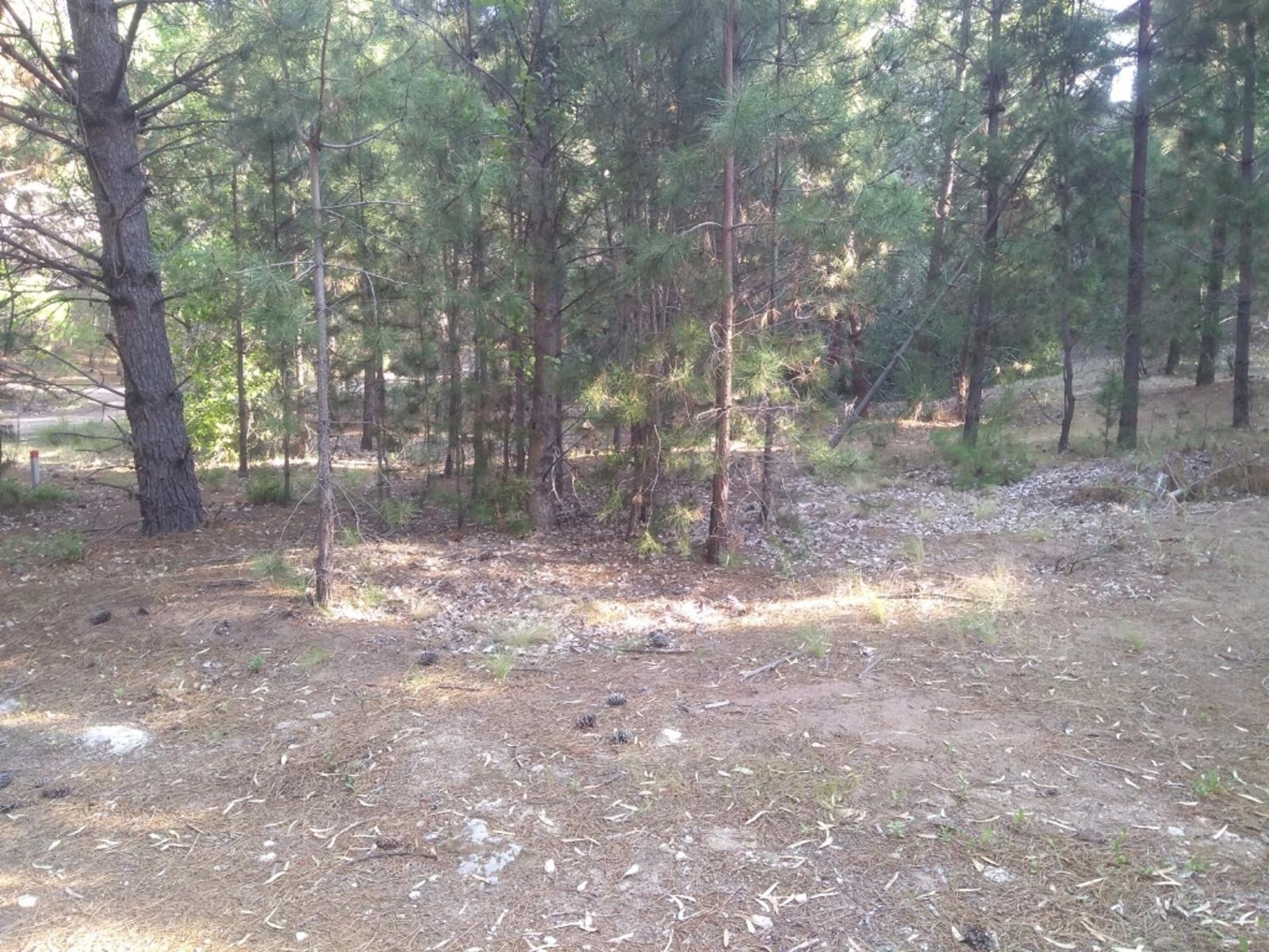 PINAR DEL GOLF · Monte Hermoso — foto 7