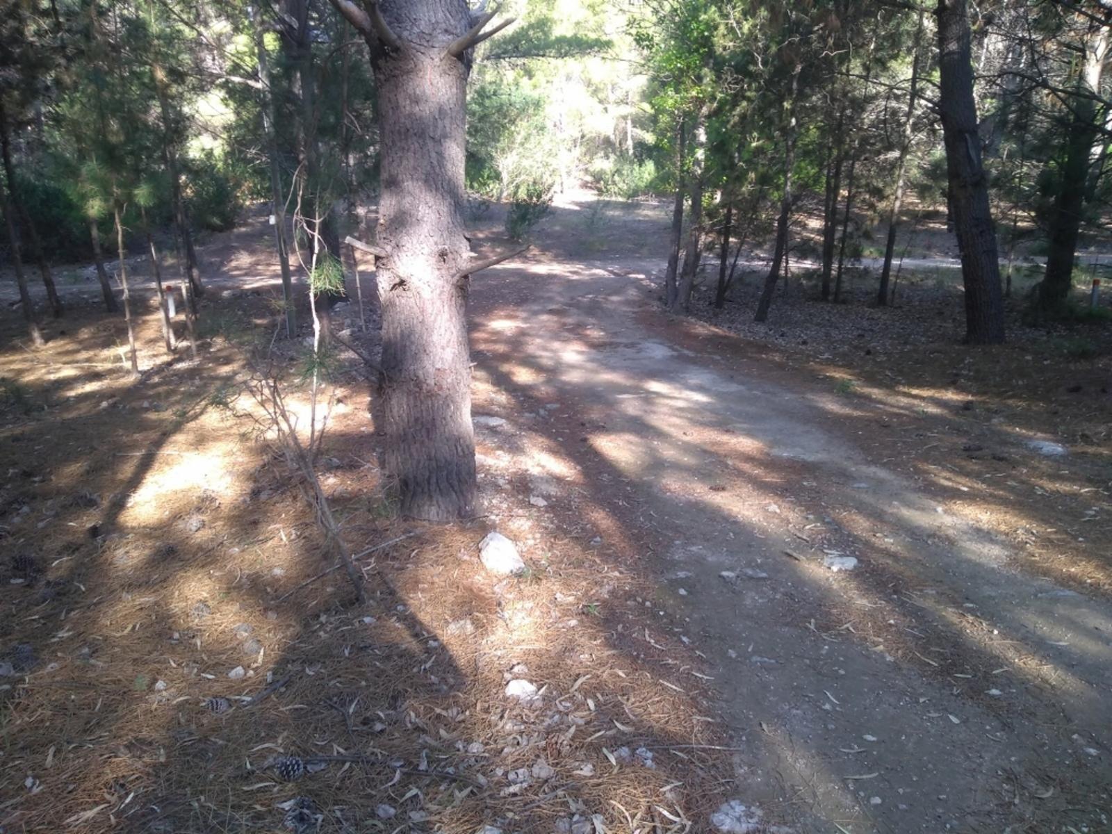 PINAR DEL GOLF · Monte Hermoso — foto 8