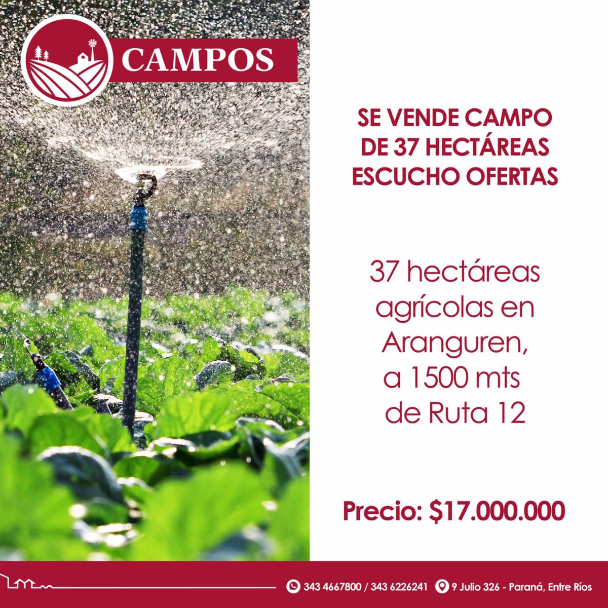Se vende campo de 37 hectáreas - Escucho ofertas
