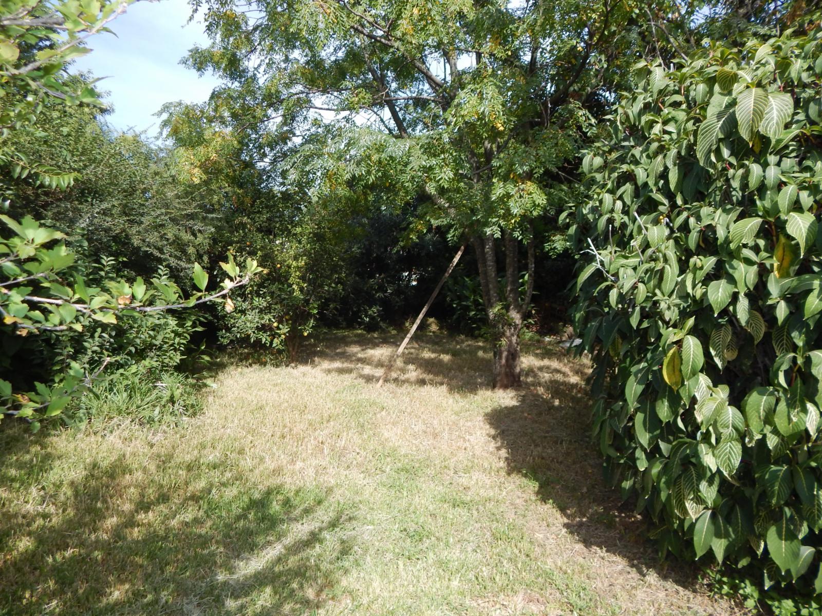 Paso de los Andes Nº 955 · Colón — foto 10