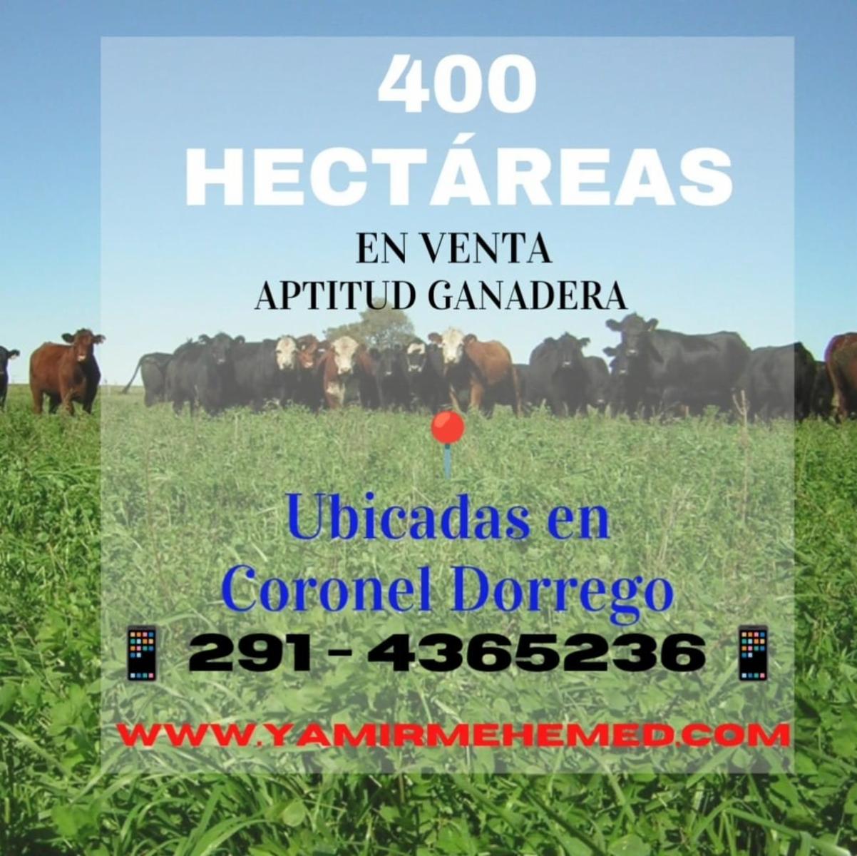 Campo ganadero en coronel Dorrego, provincia de Buenos Aires