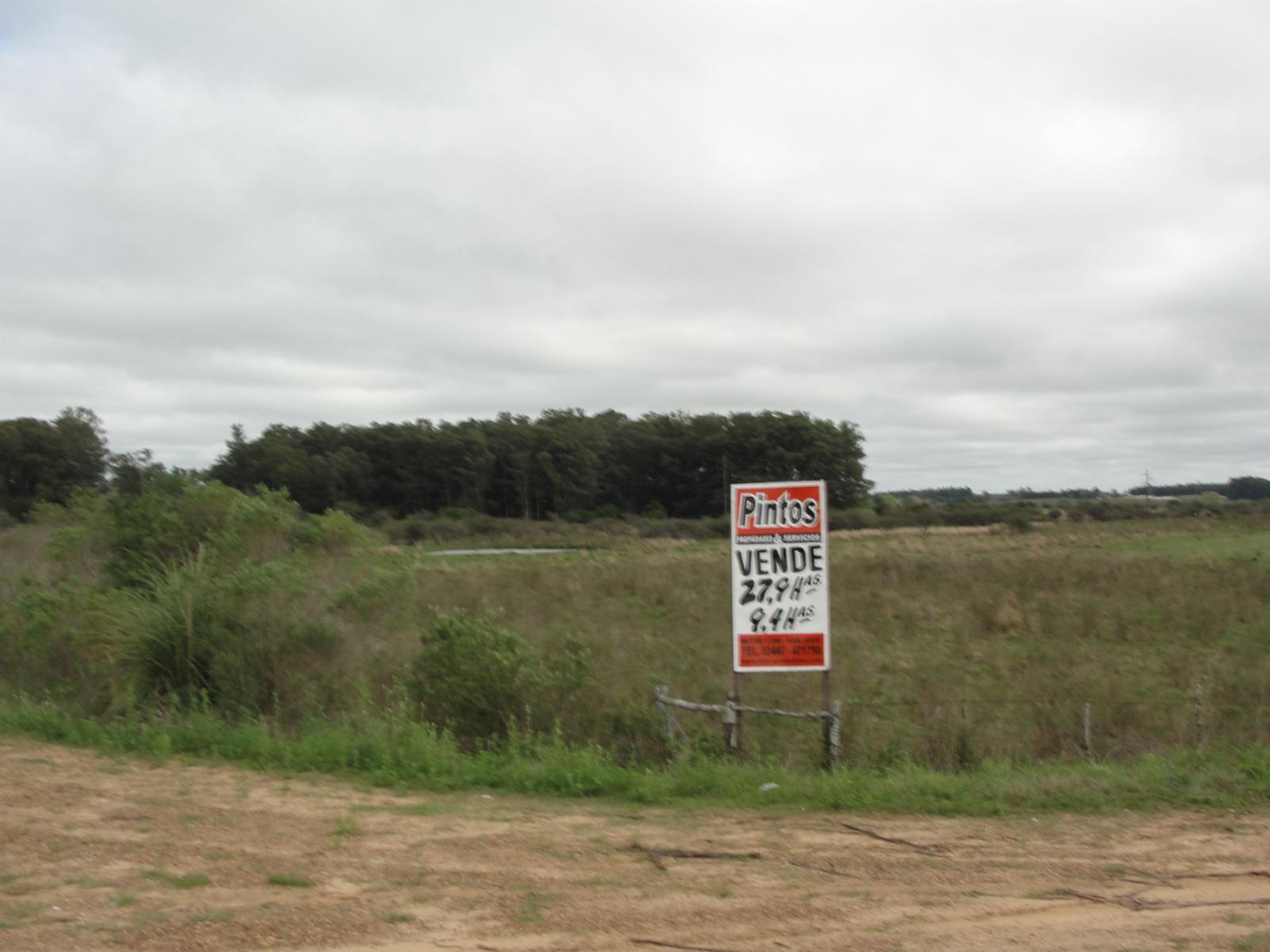 27 Has. sobre autovía Ruta 14 (altura km. 158,3) Ejido San José - DEPARTAMENTO COLON