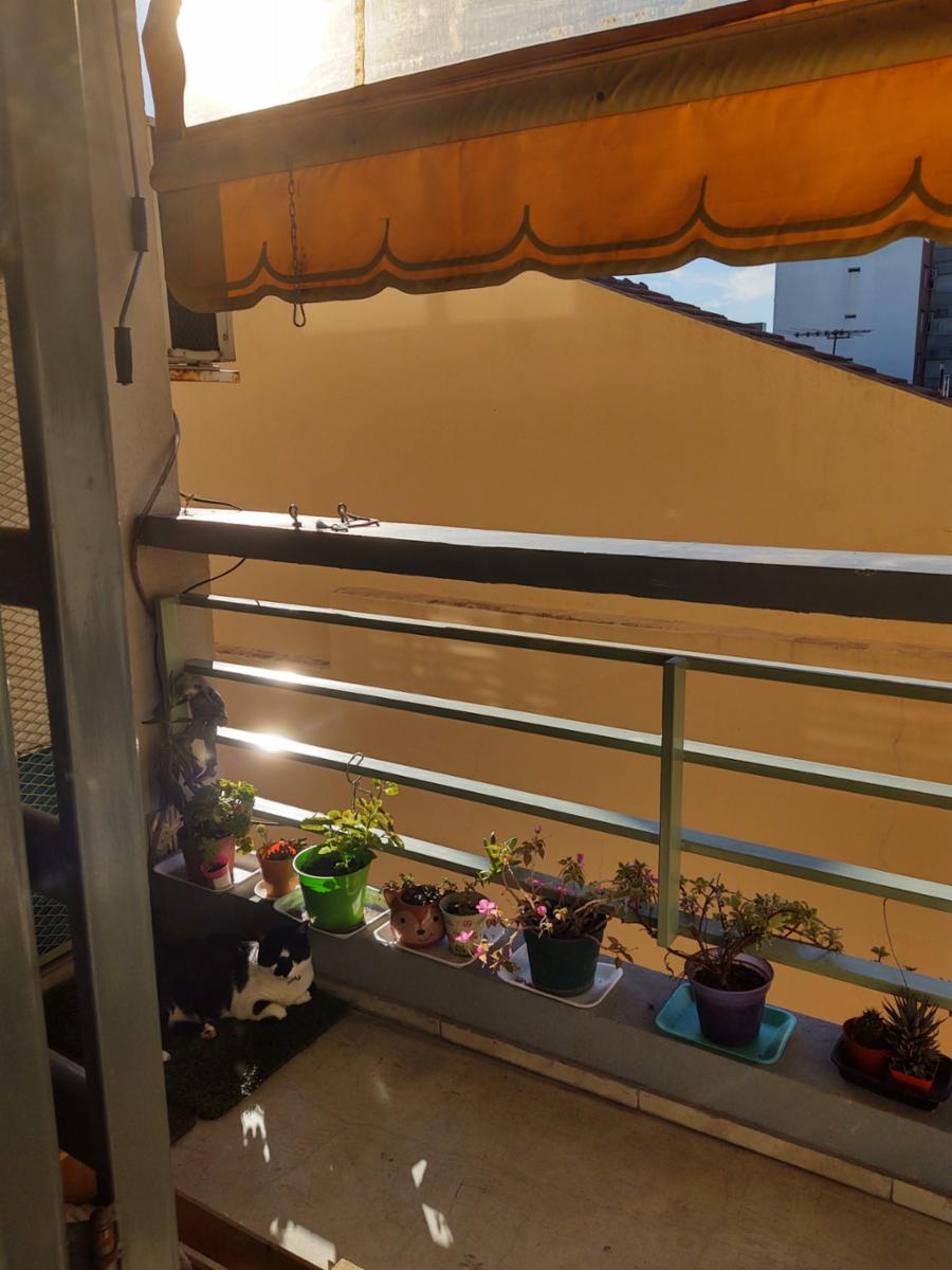 Suipacha 200 · Morón — foto 11