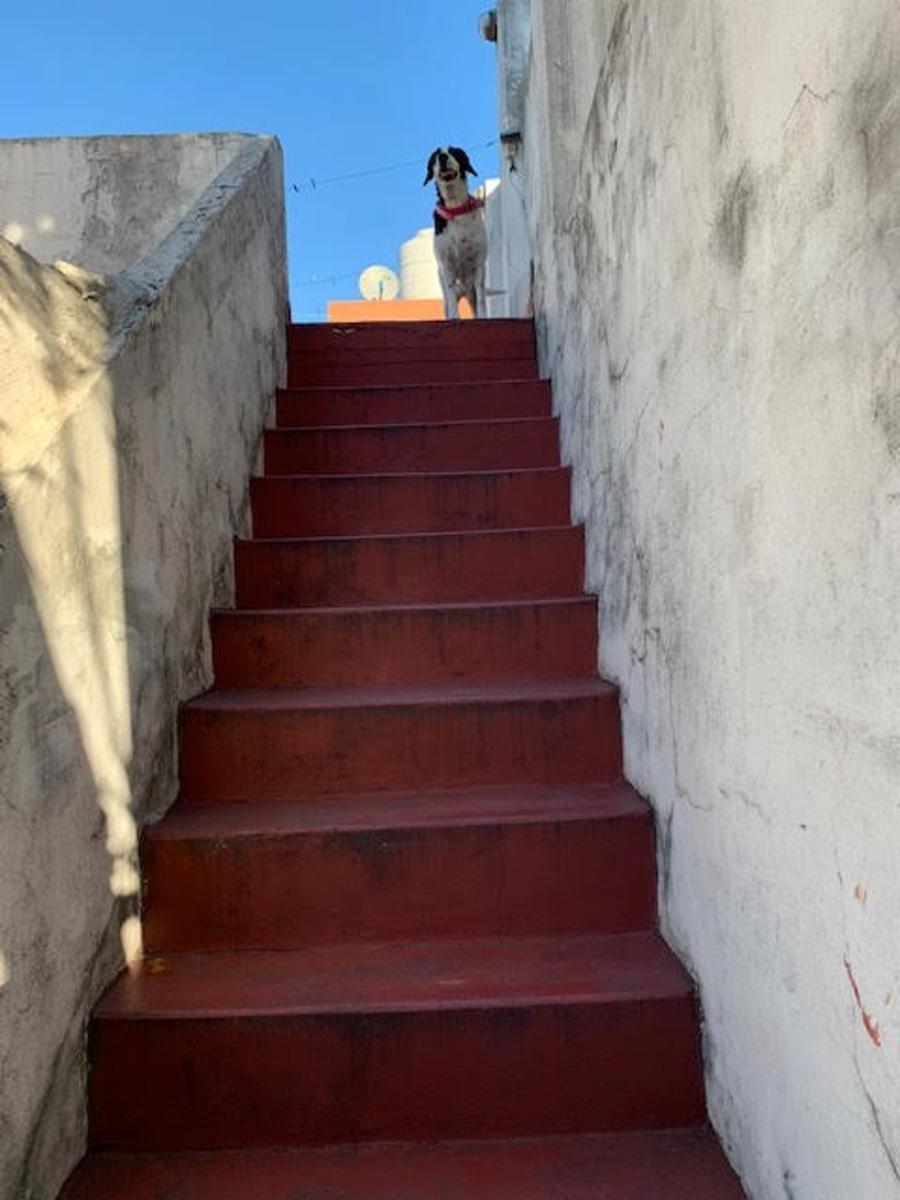 Eduardo Costa 922 · La Matanza — foto 10
