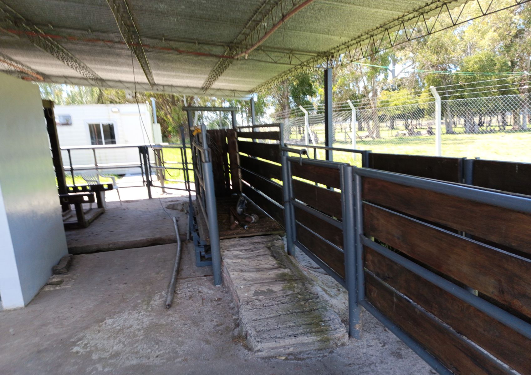 CAMPO - CABAÑA - PLANTA ALIMENTOS EN VENTA EN PUNTA INDIO