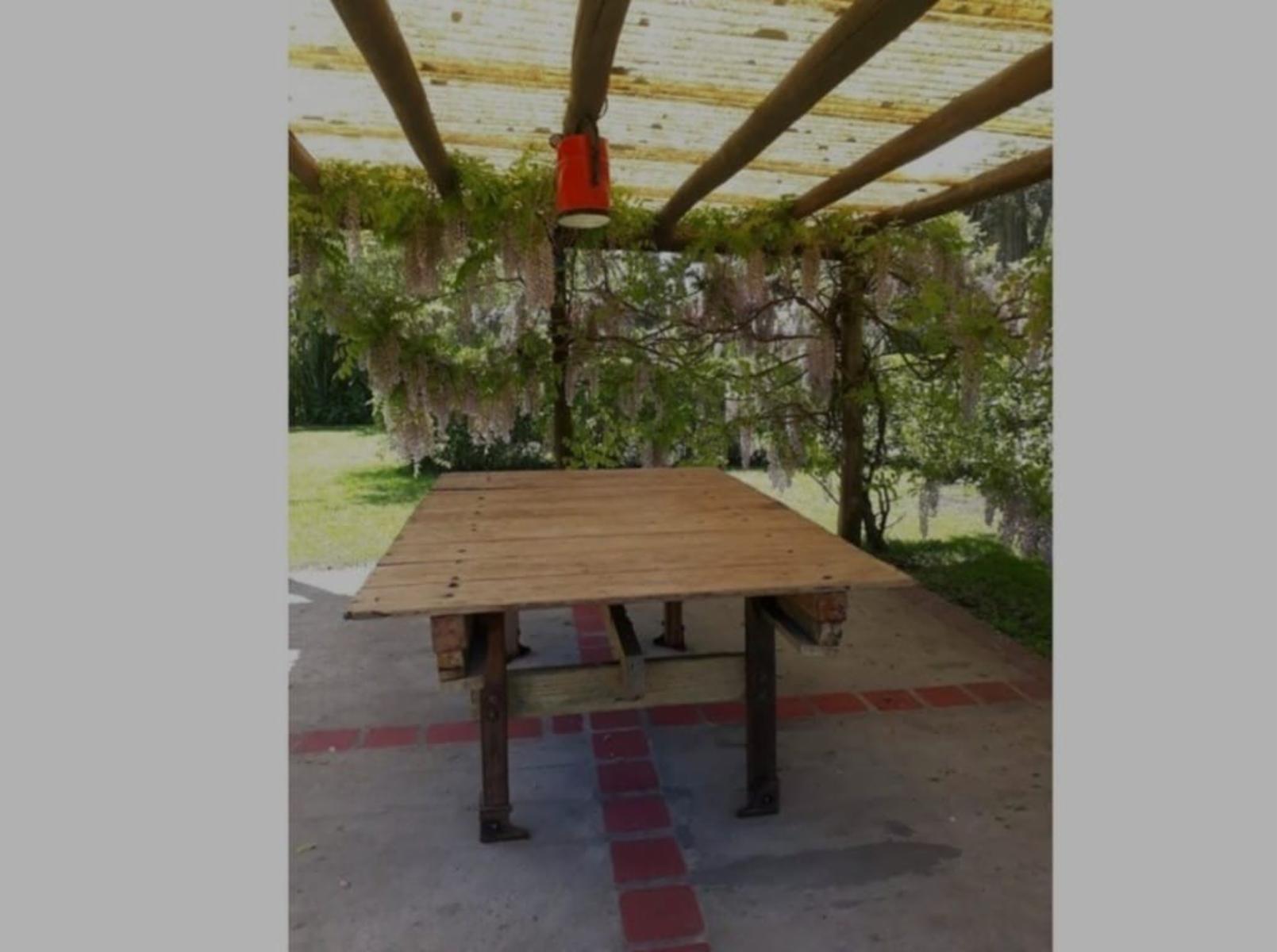 VENDO TRES HECTÁREAS CON SALÓN COMERCIAL (ZONA LA TRINIDAD) MDP · General Pueyrredon — foto 23