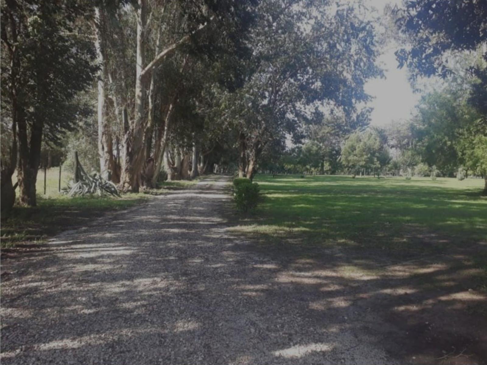 VENDO TRES HECTÁREAS CON SALÓN COMERCIAL (ZONA LA TRINIDAD) MDP · General Pueyrredon — foto 4