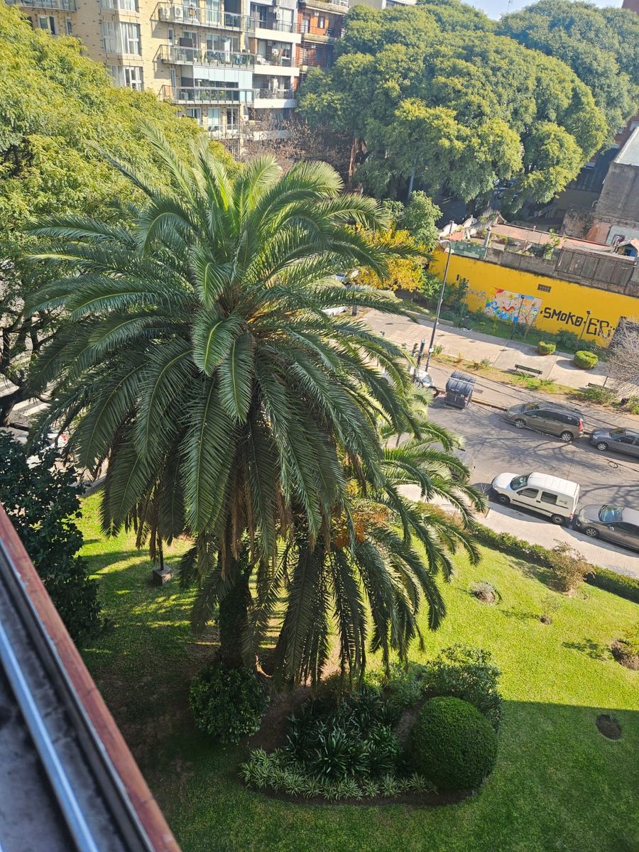 ALVAREZ THOMAS 100 · Colegiales — foto 15
