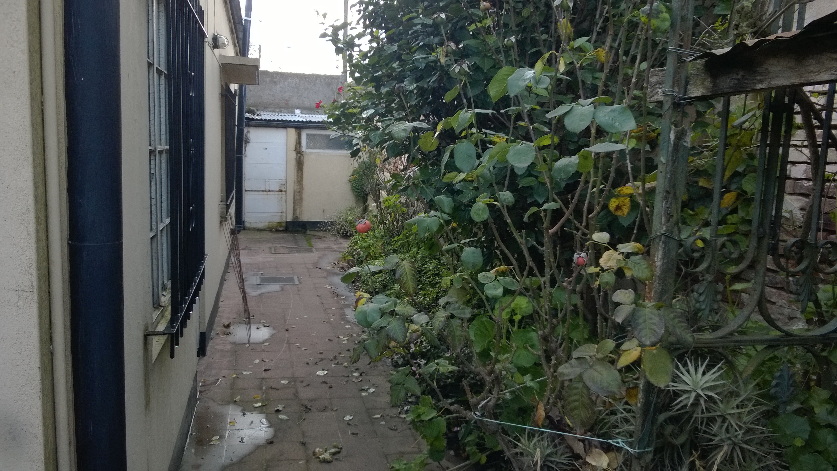 9 Nº 538 · Balcarce — foto 19