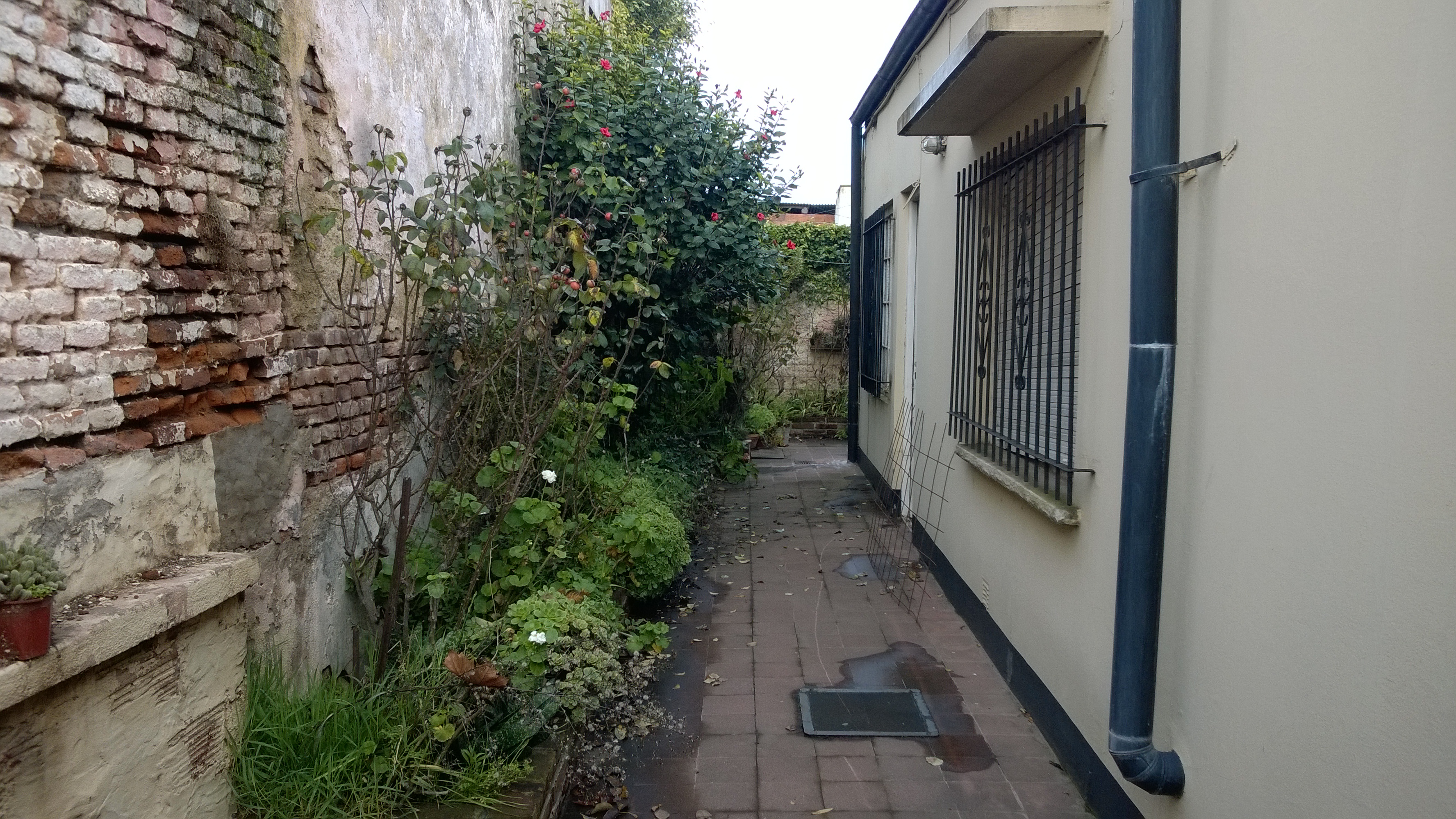 9 Nº 538 · Balcarce — foto 20