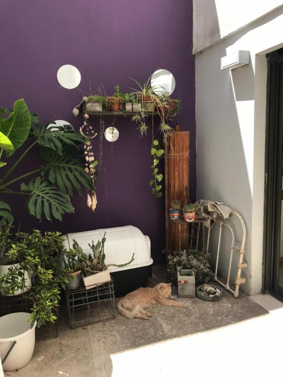 Paunero 500 · Río Cuarto — foto 9