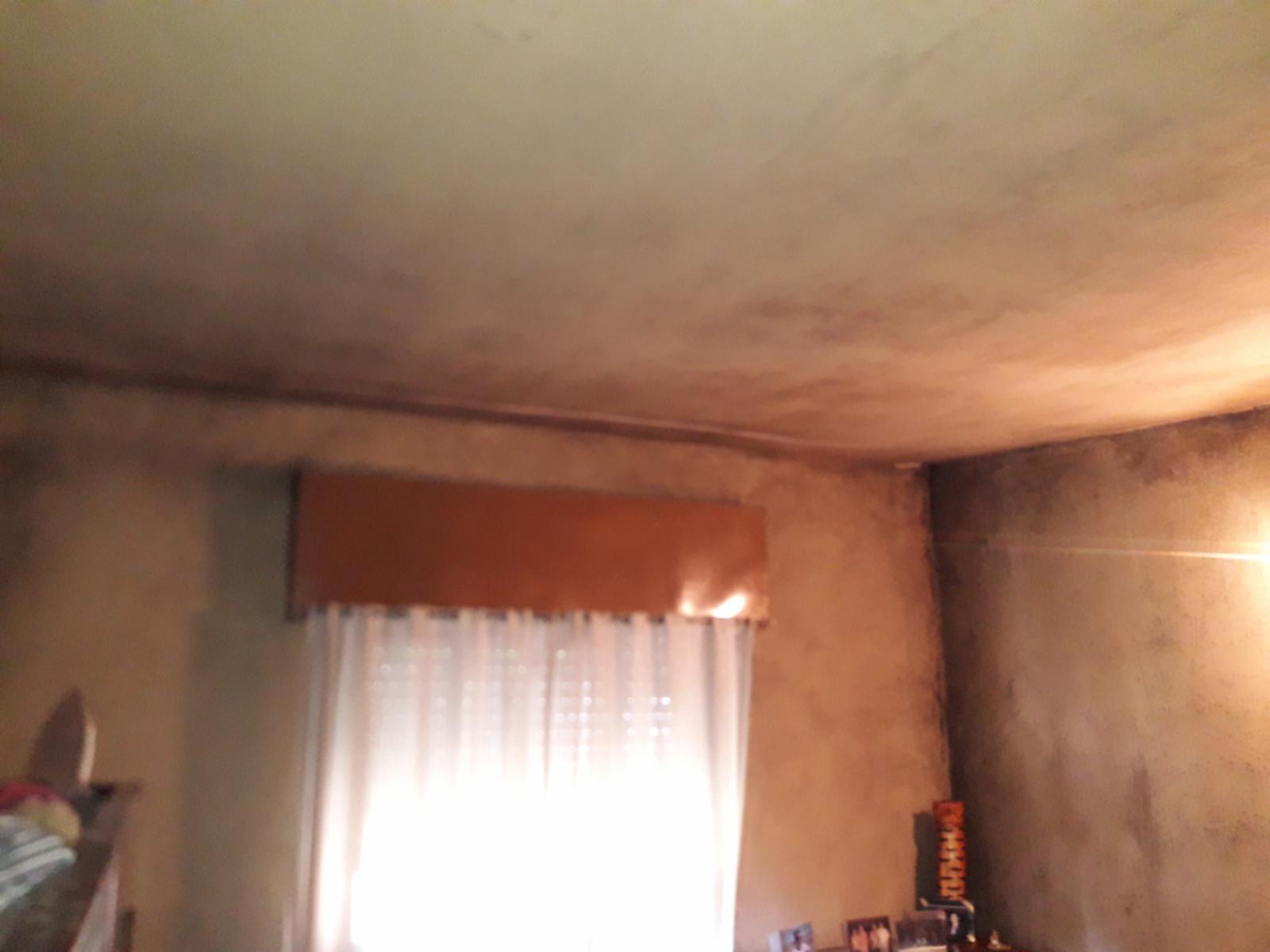 LOS CIPRESES 1135 · Almirante Brown — foto 3