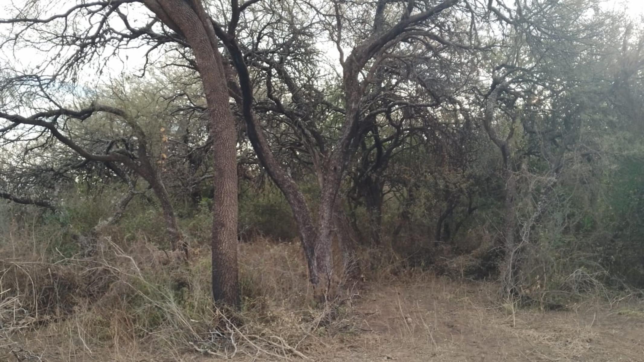 VENTA LOTE DE 2000m2 EN EXCLUSIVO LOTEO LA AURELIA, CARPINTERIA, SAN LUIS