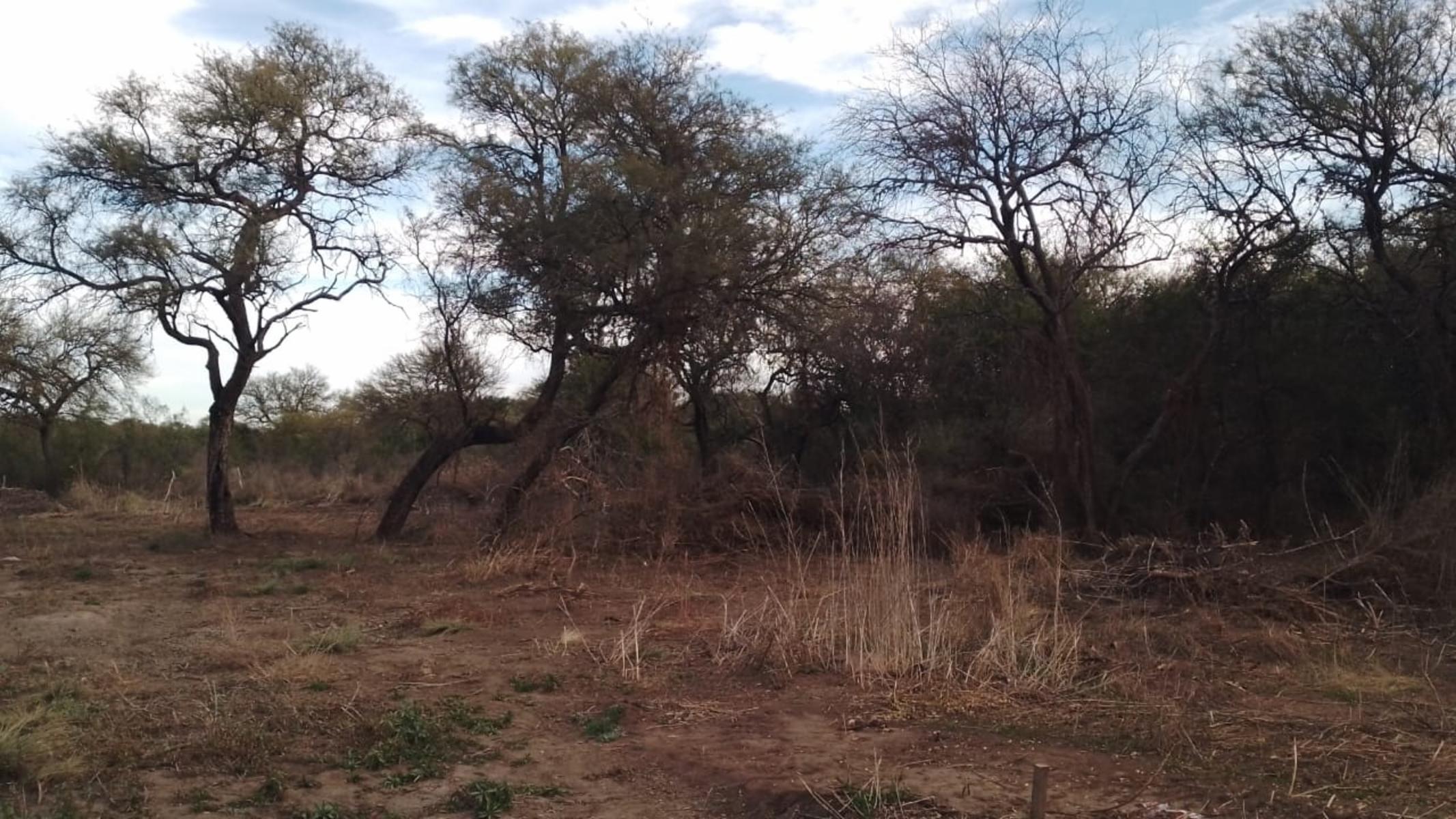 VENTA LOTE DE 2000m2 EN EXCLUSIVO LOTEO LA AURELIA, CARPINTERIA, SAN LUIS · Junín — foto 3